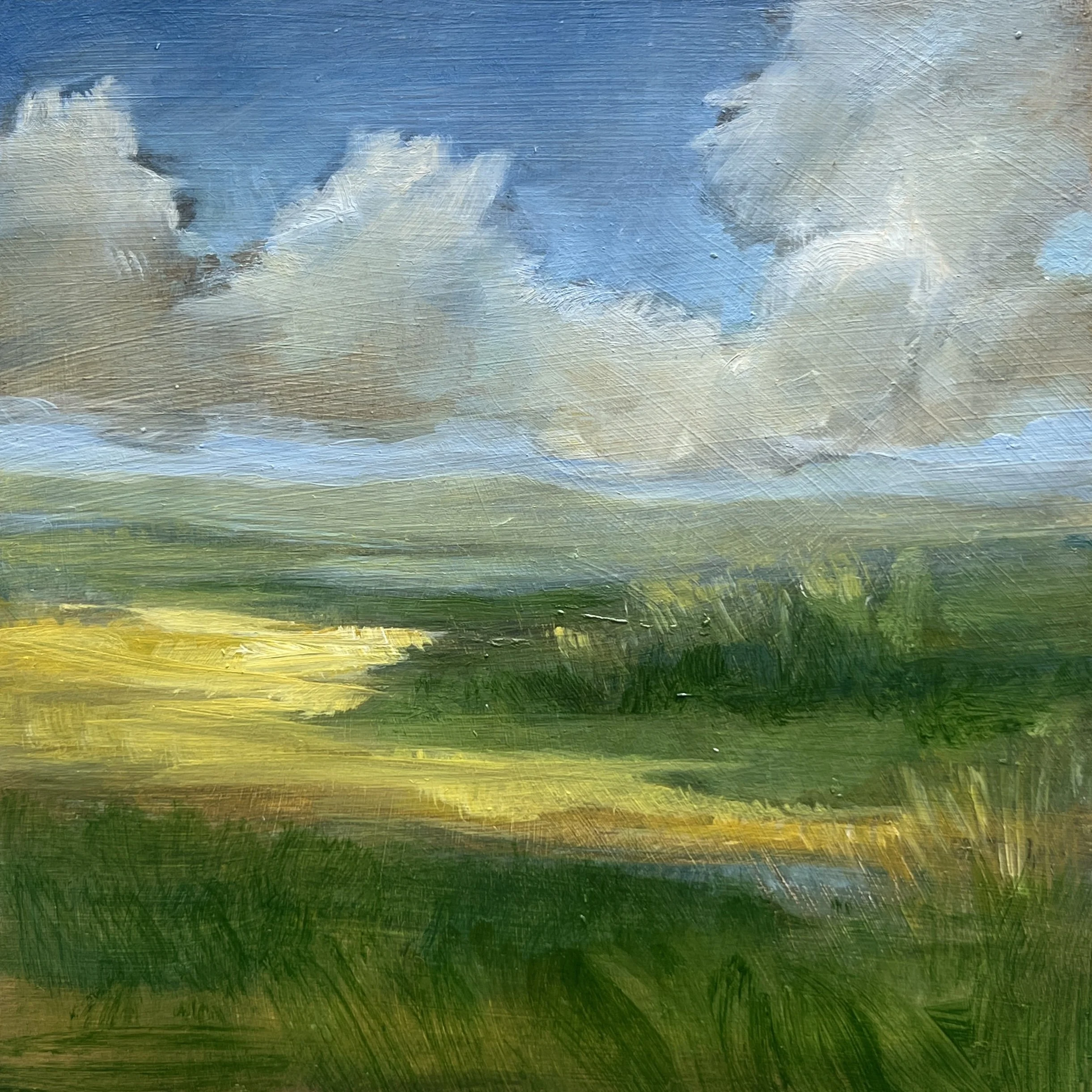 Small Oil 11_oil on panel_6x6__2026.jpg