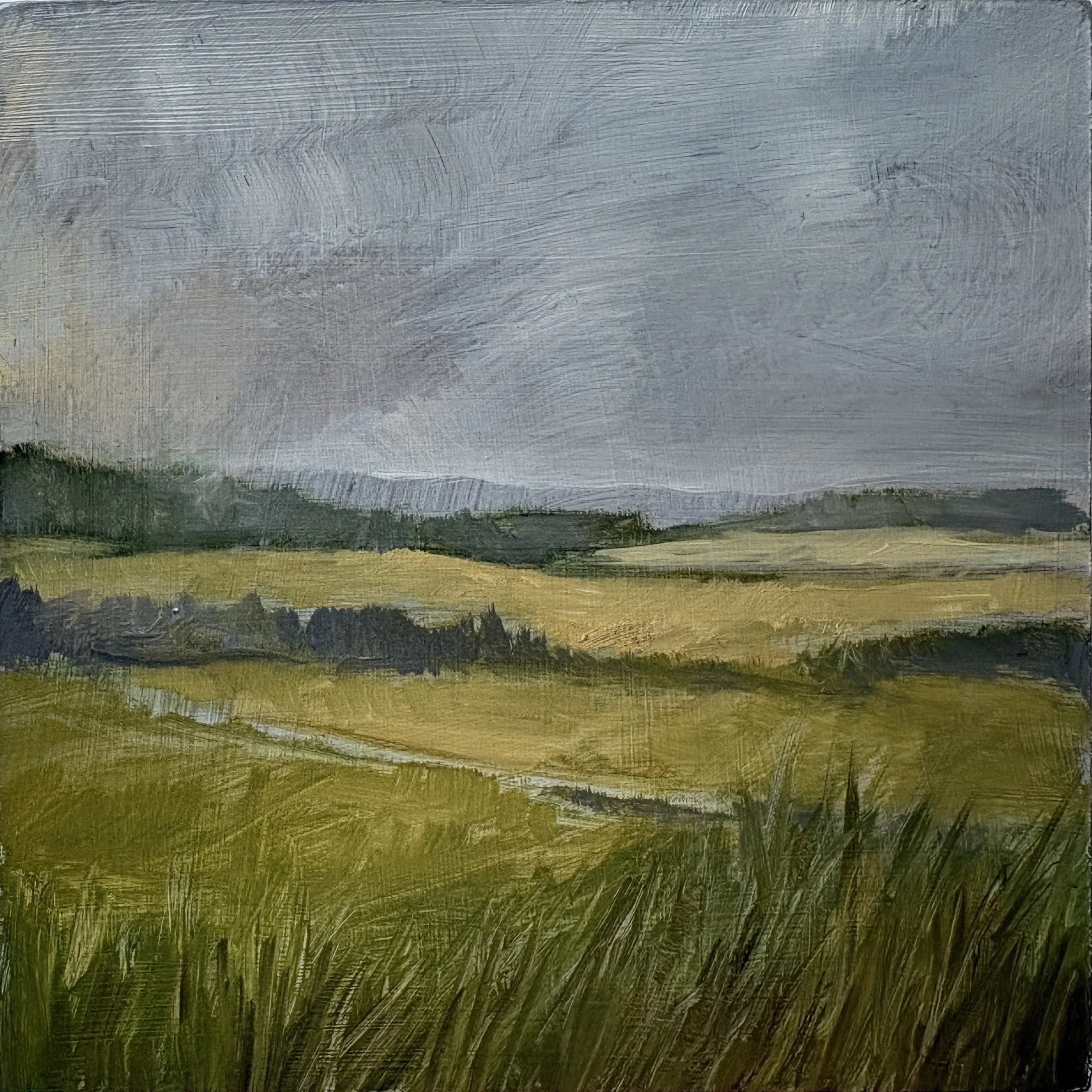 Small oil 2_oil on panel_6x6_2026.jpg