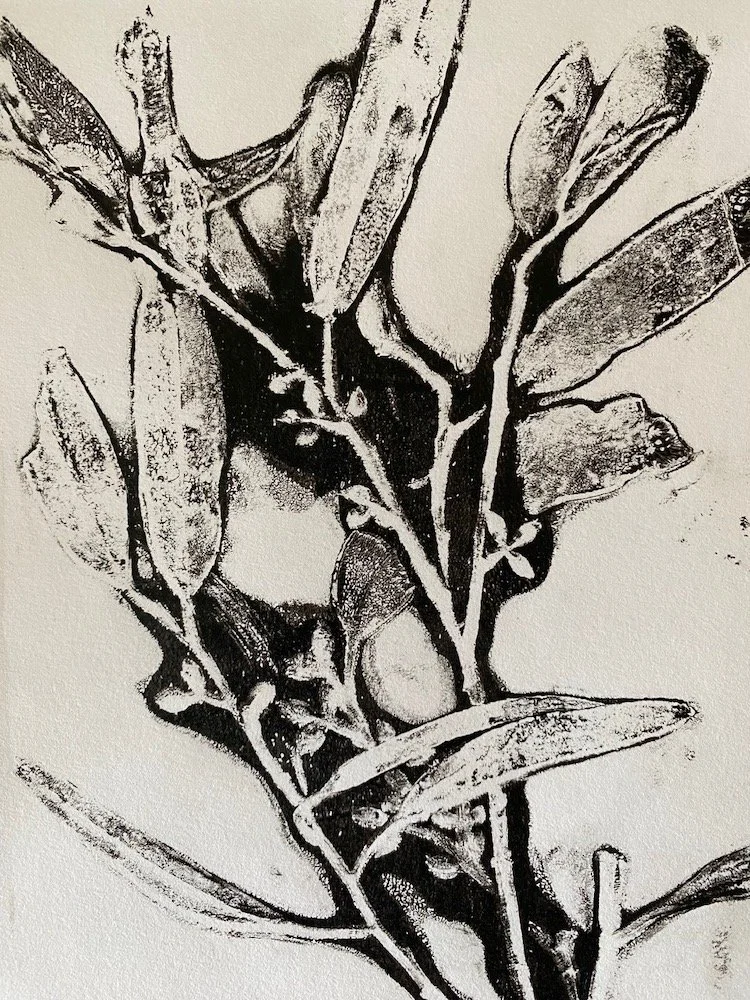 Gelliprinting Example 