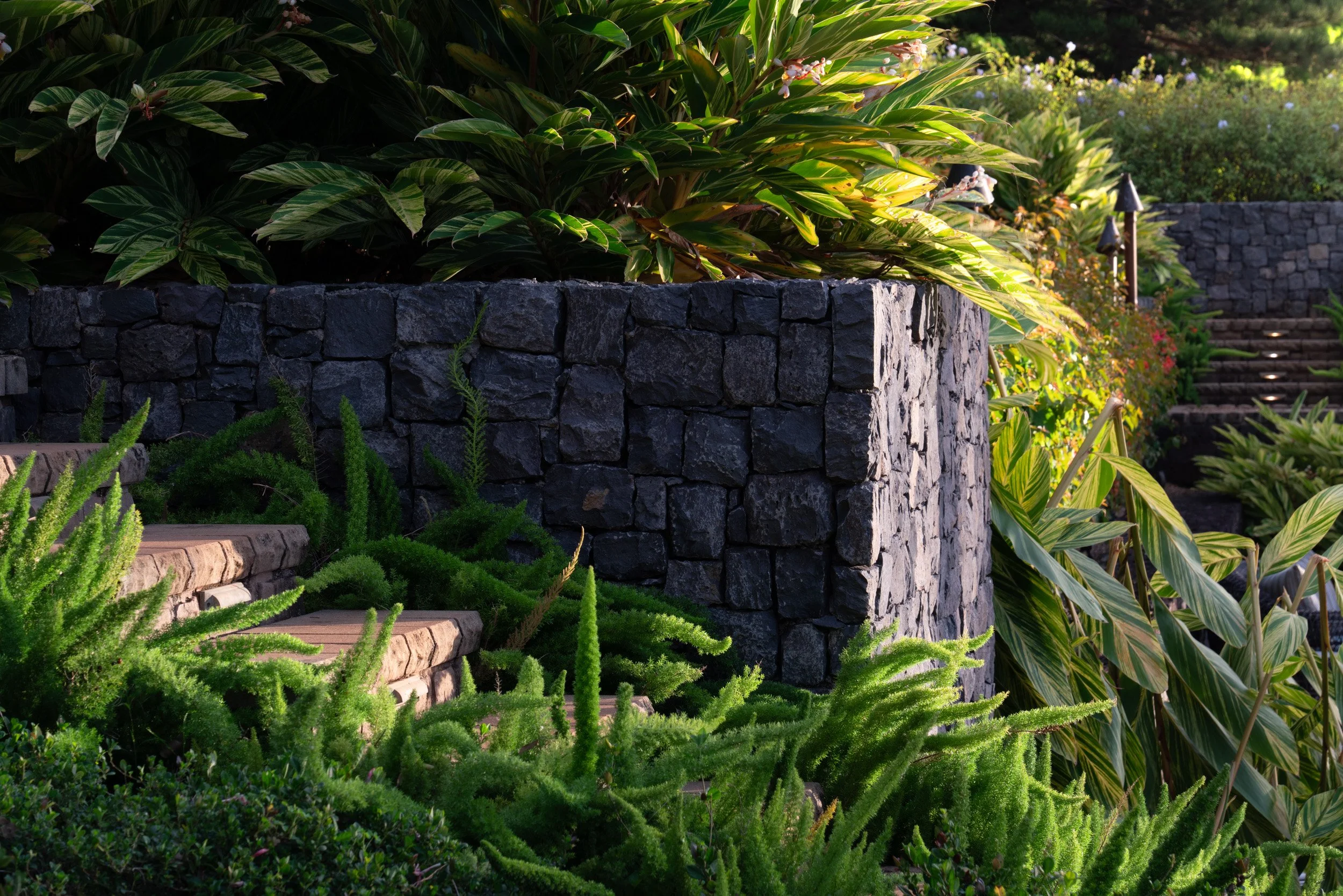 215 - Selects MLS (27 of 31).jpg