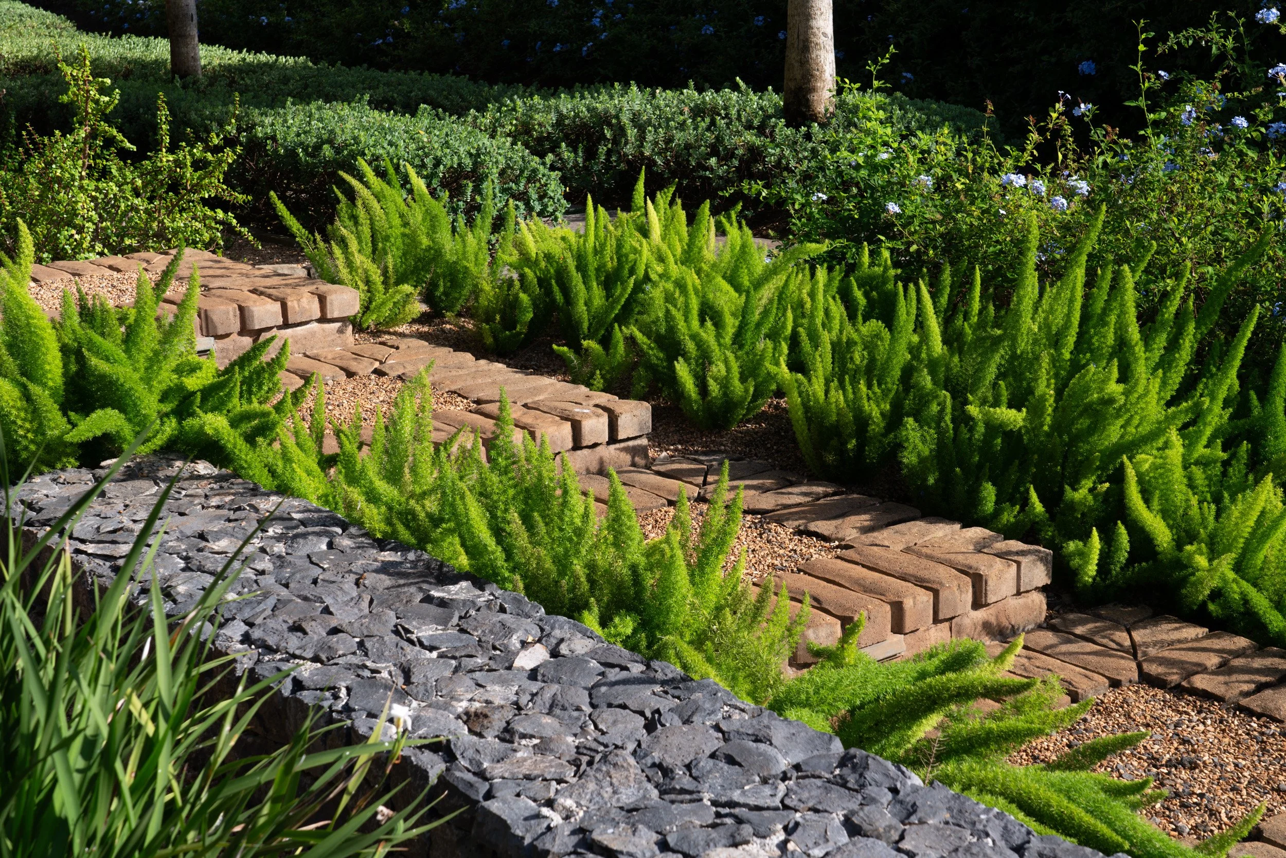 215 - textures MLS (5 of 13).jpg