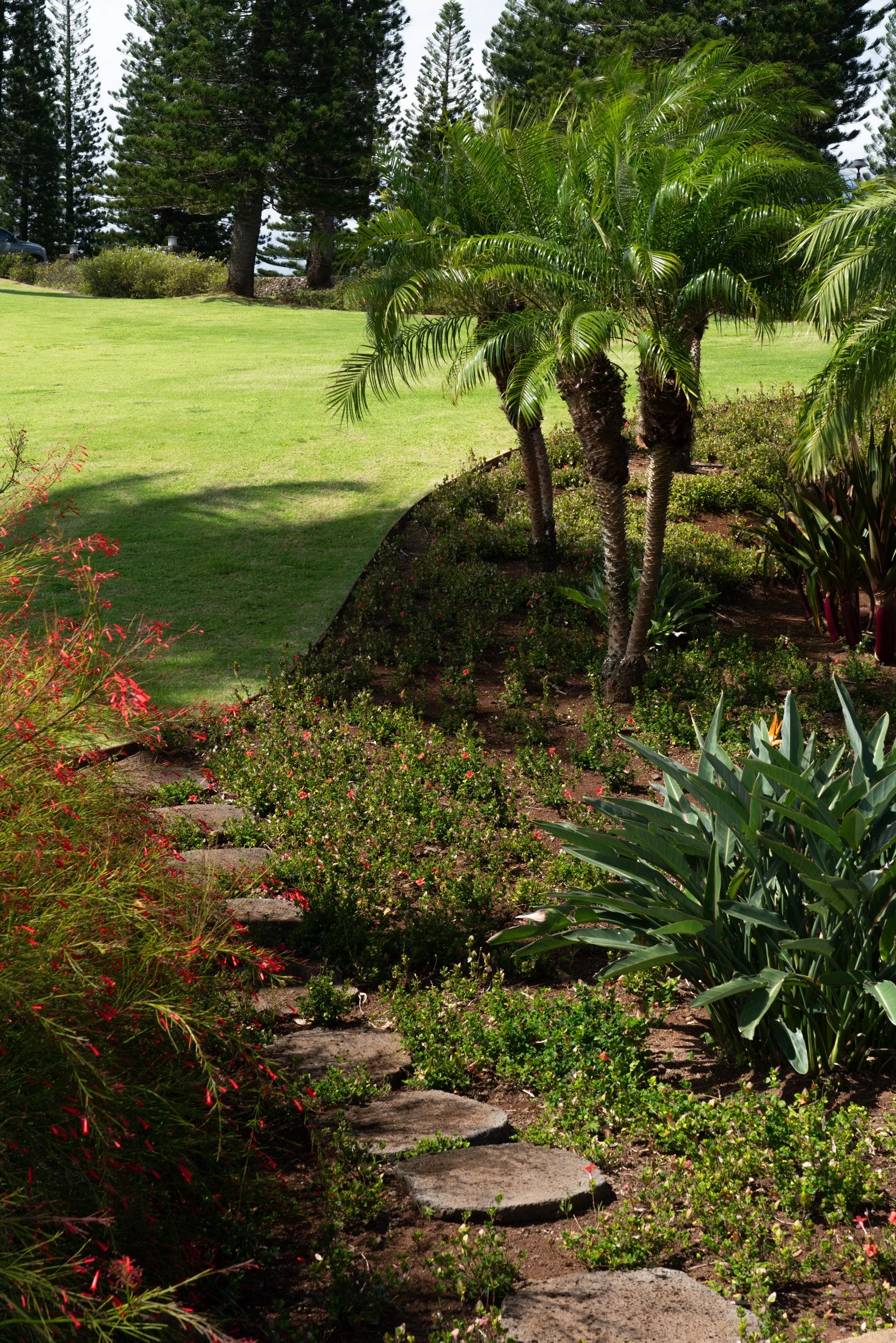 215 - textures MLS (1 of 13).jpg