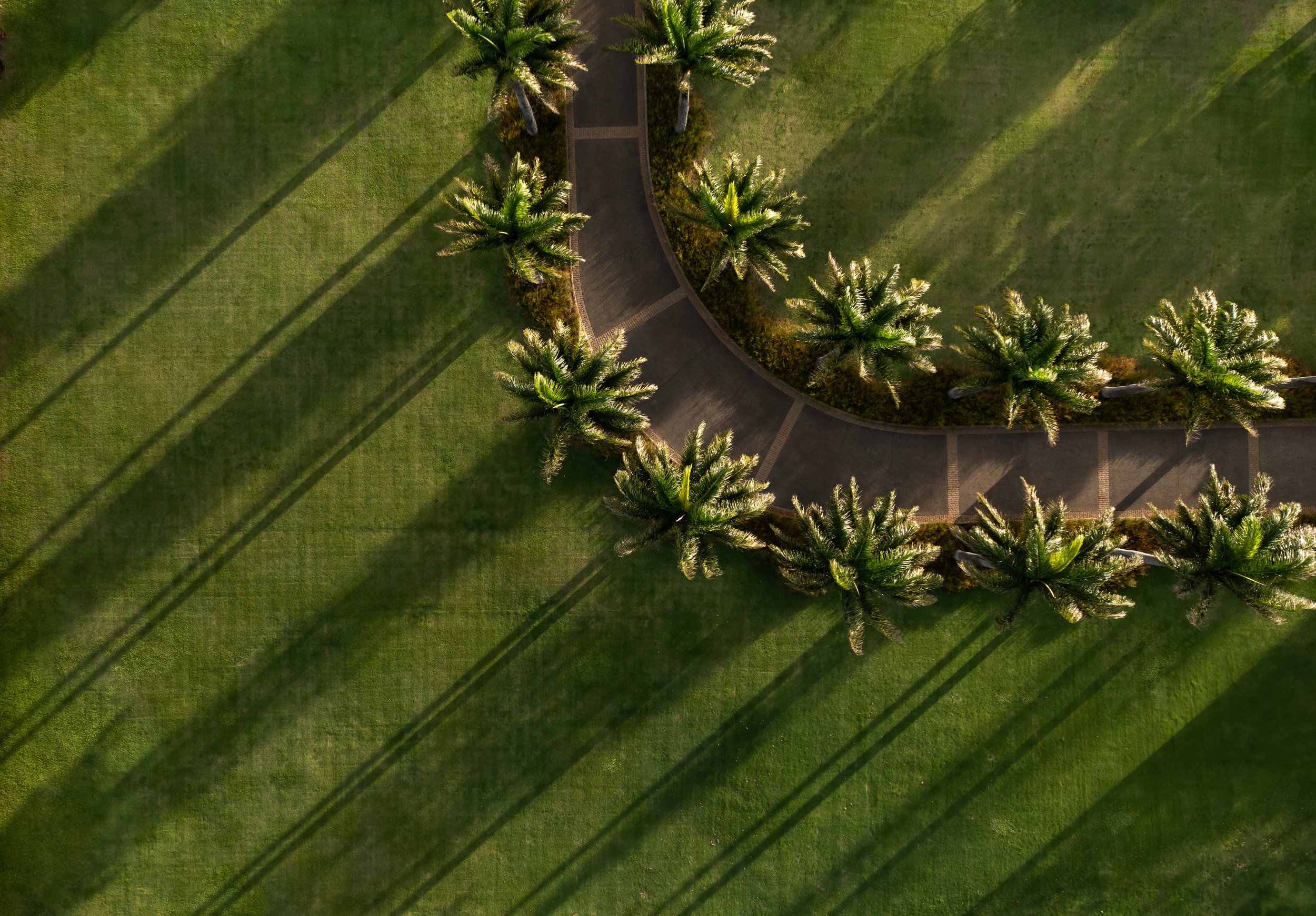 215 - Selects Aerial MLS (2 of 9).jpg