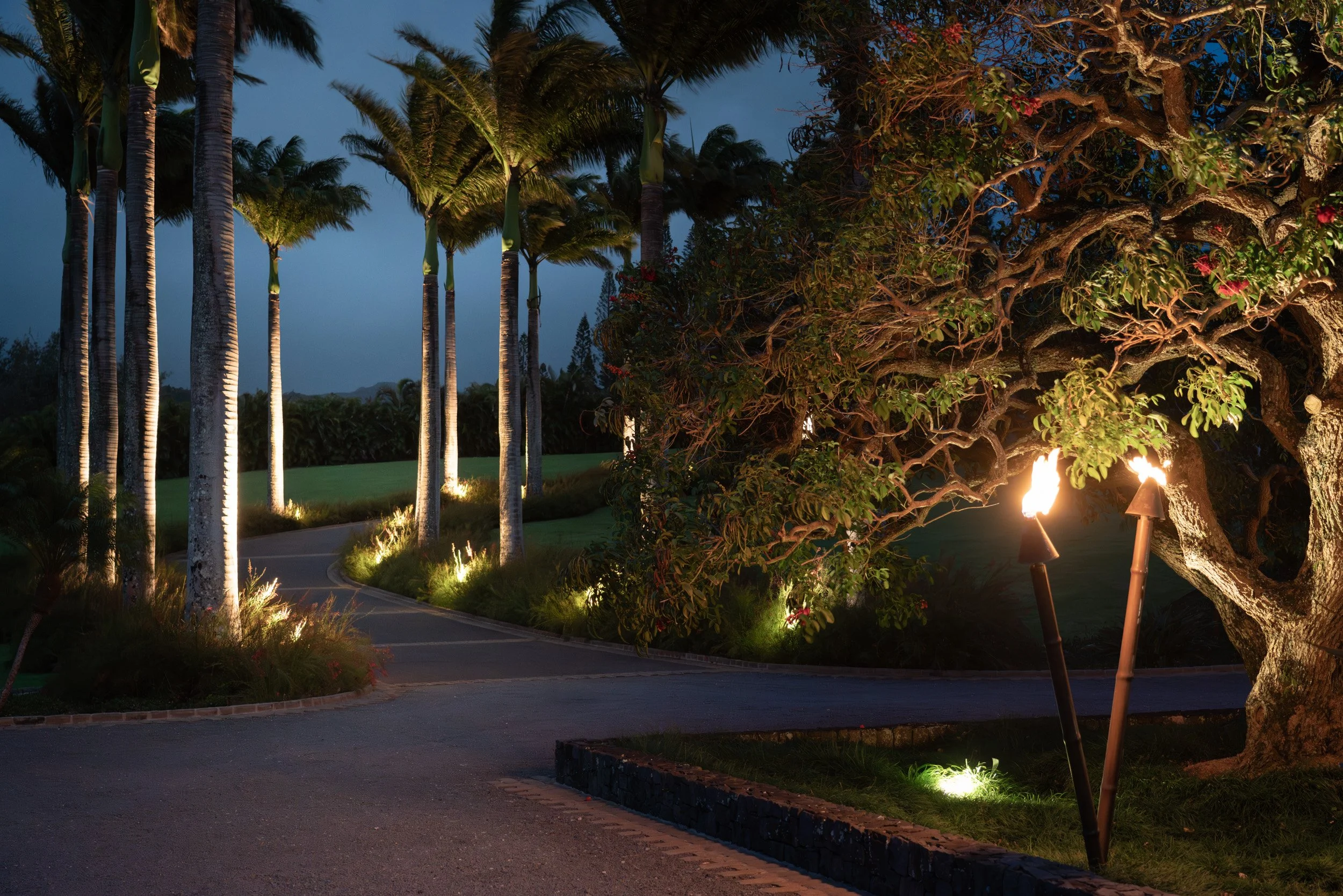 TwilightDriveway.Fire - Twilight MLS (8 of 8).jpg