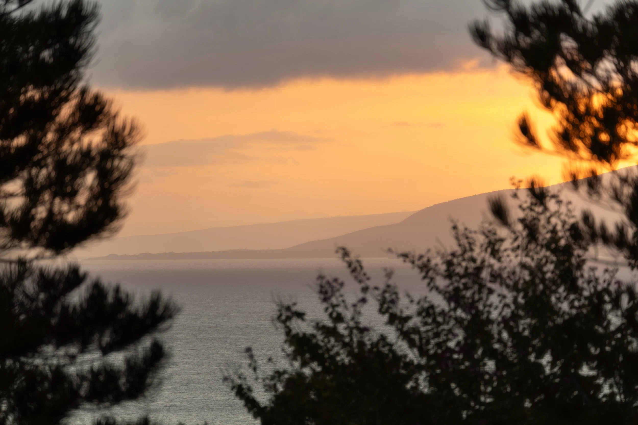 215 - textures MLS (13 of 13).jpg