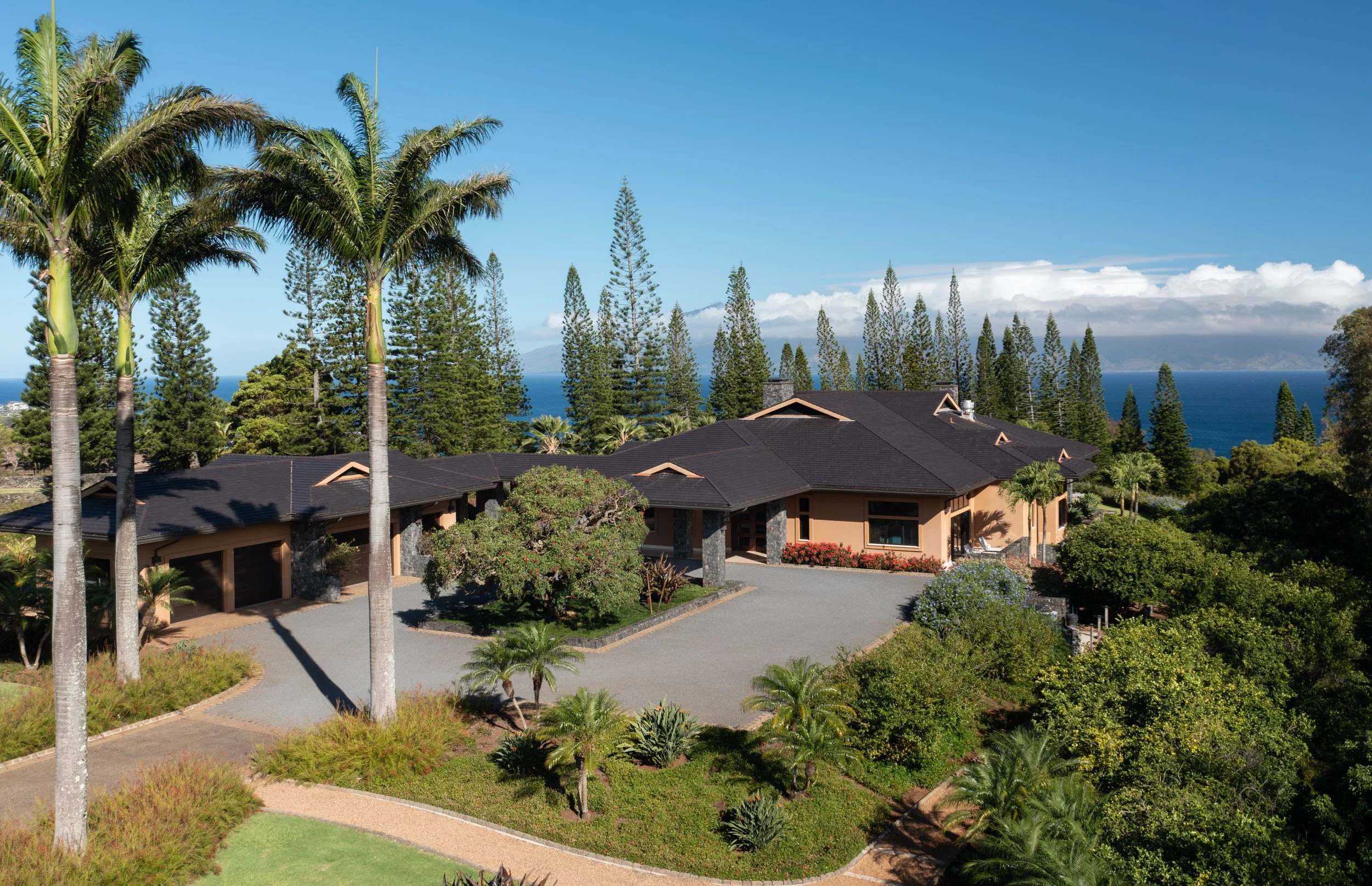 215 - Selects Aerial MLS (3 of 7).jpg