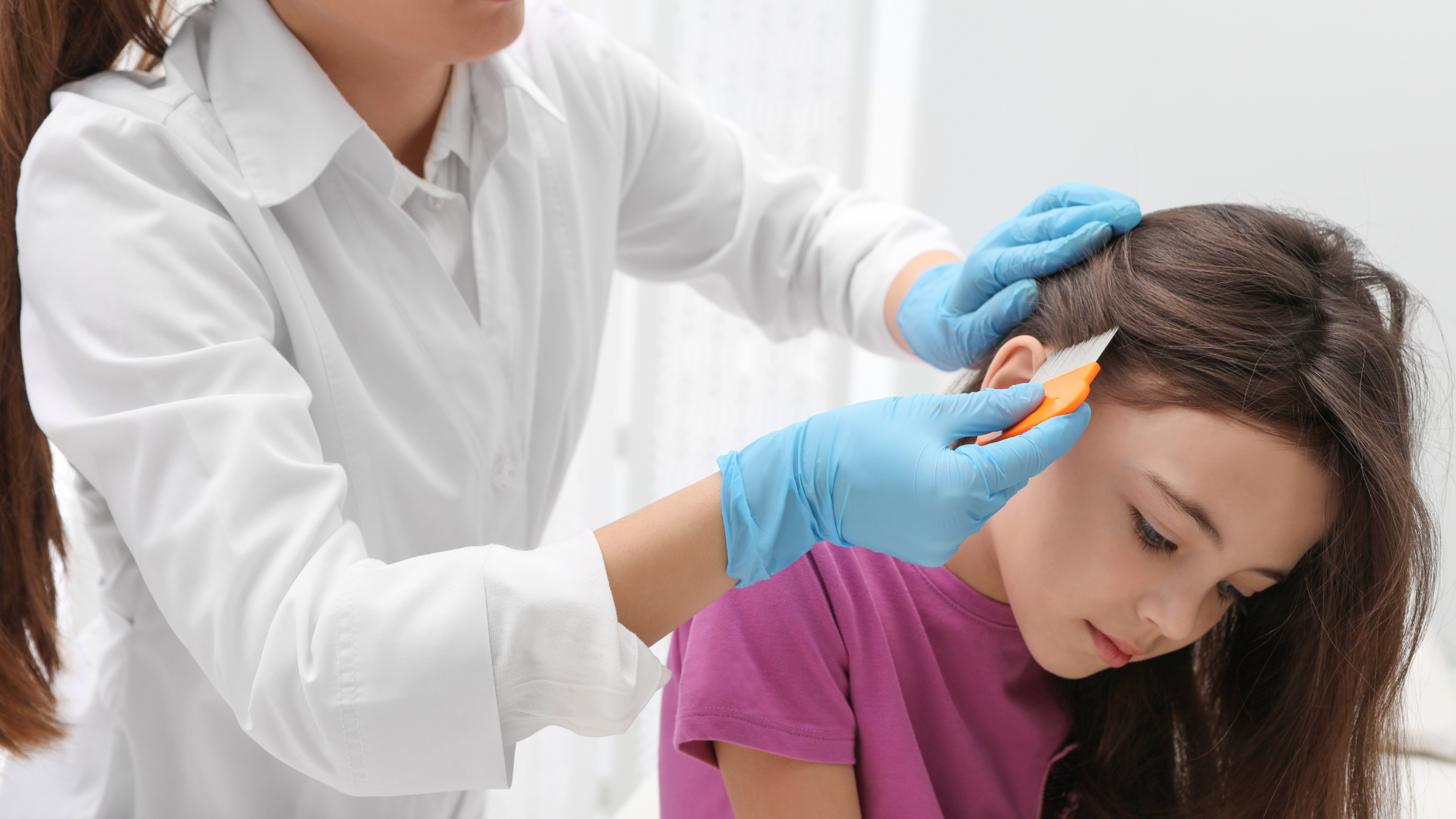 Why Lice Keep Coming Back After Treatment
