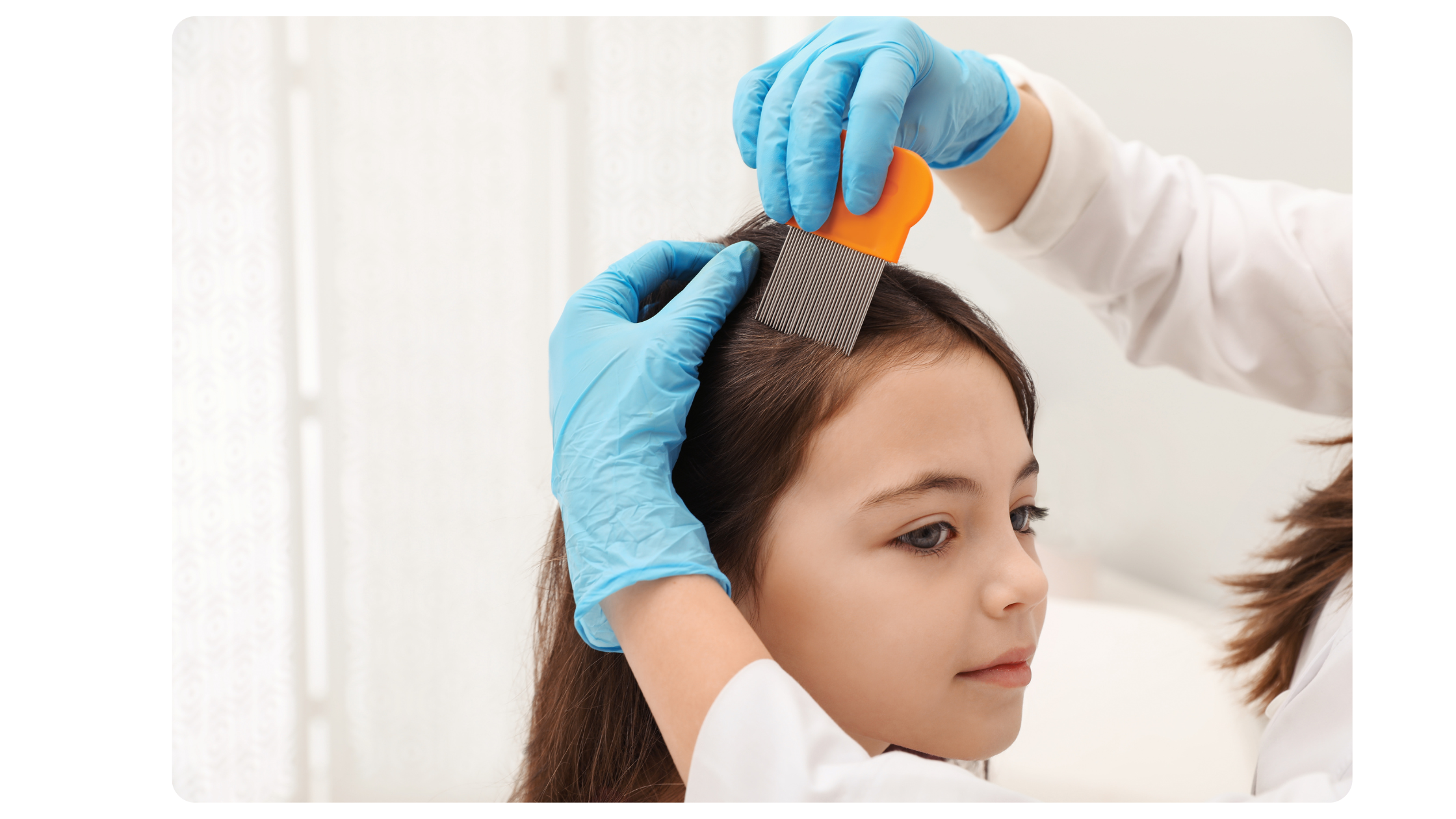Professional non-toxic in-home lice treatment service near Cypress TX