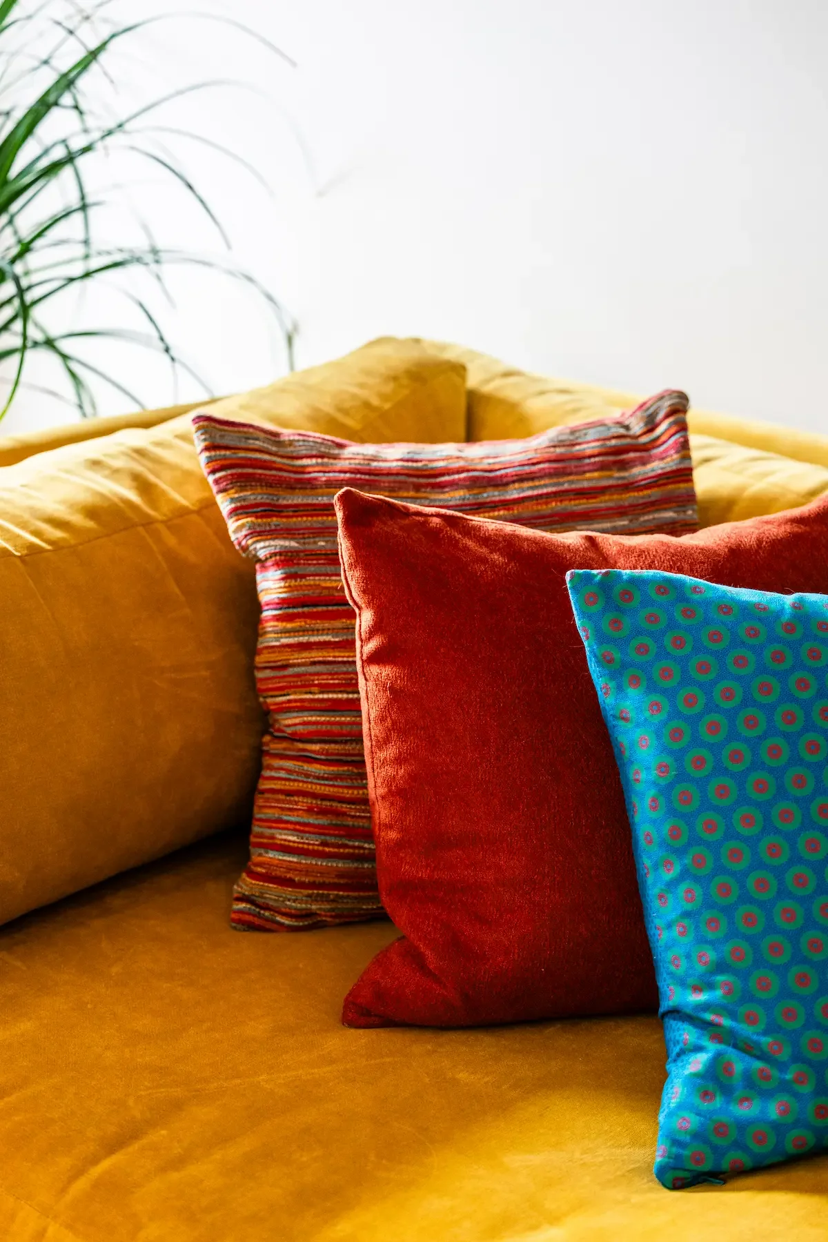 Colorful cushions on a yellow sofa, with a green plant in the background.