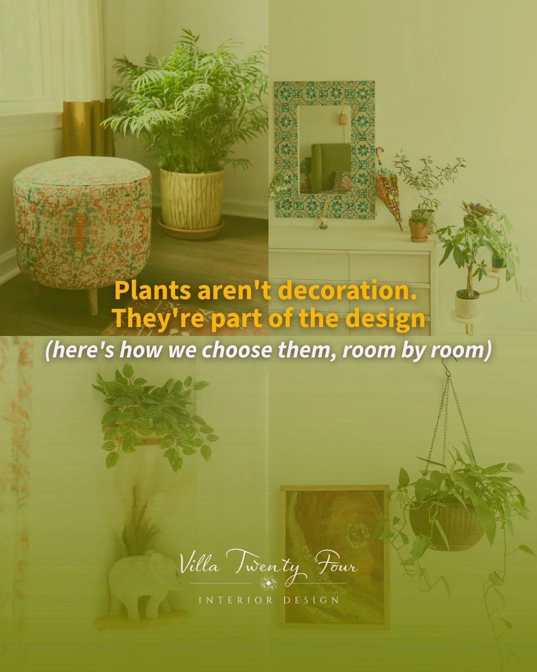 Every plant in a room should be doing a job, not just filling a corner.

🪴 Living room: fiddle leaf fig. Tall and sculptural enough to act as a design feature on its own, while helping filter indoor air in the room you spend the most time in.

🪴Bed