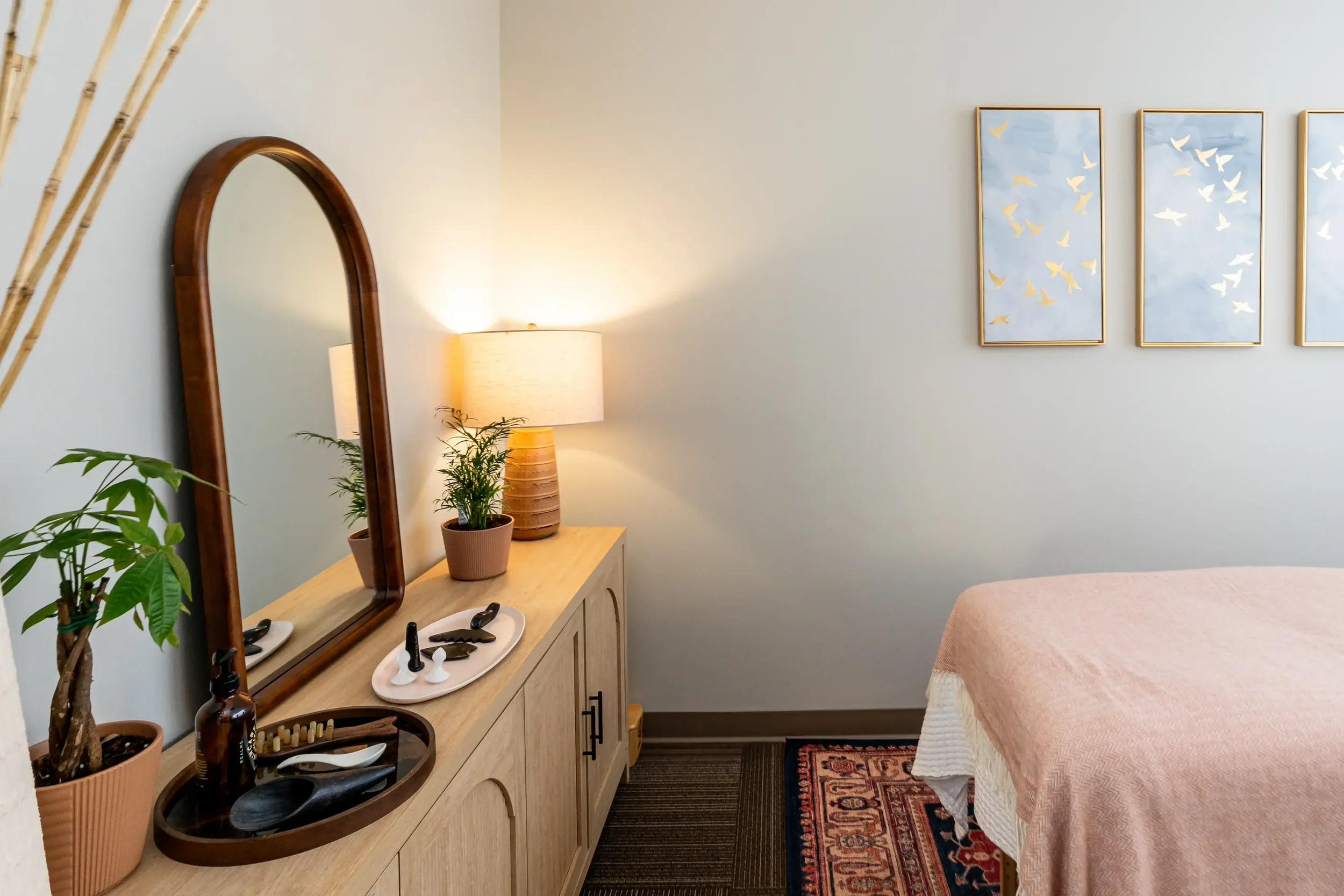 A bedroom corner featuring a wooden dresser with a mirror, a table lamp, potted plants, and decorative items, with framed artwork of flying birds on the wall, part of a bed with light pink cover and a patterned area rug on the floor.