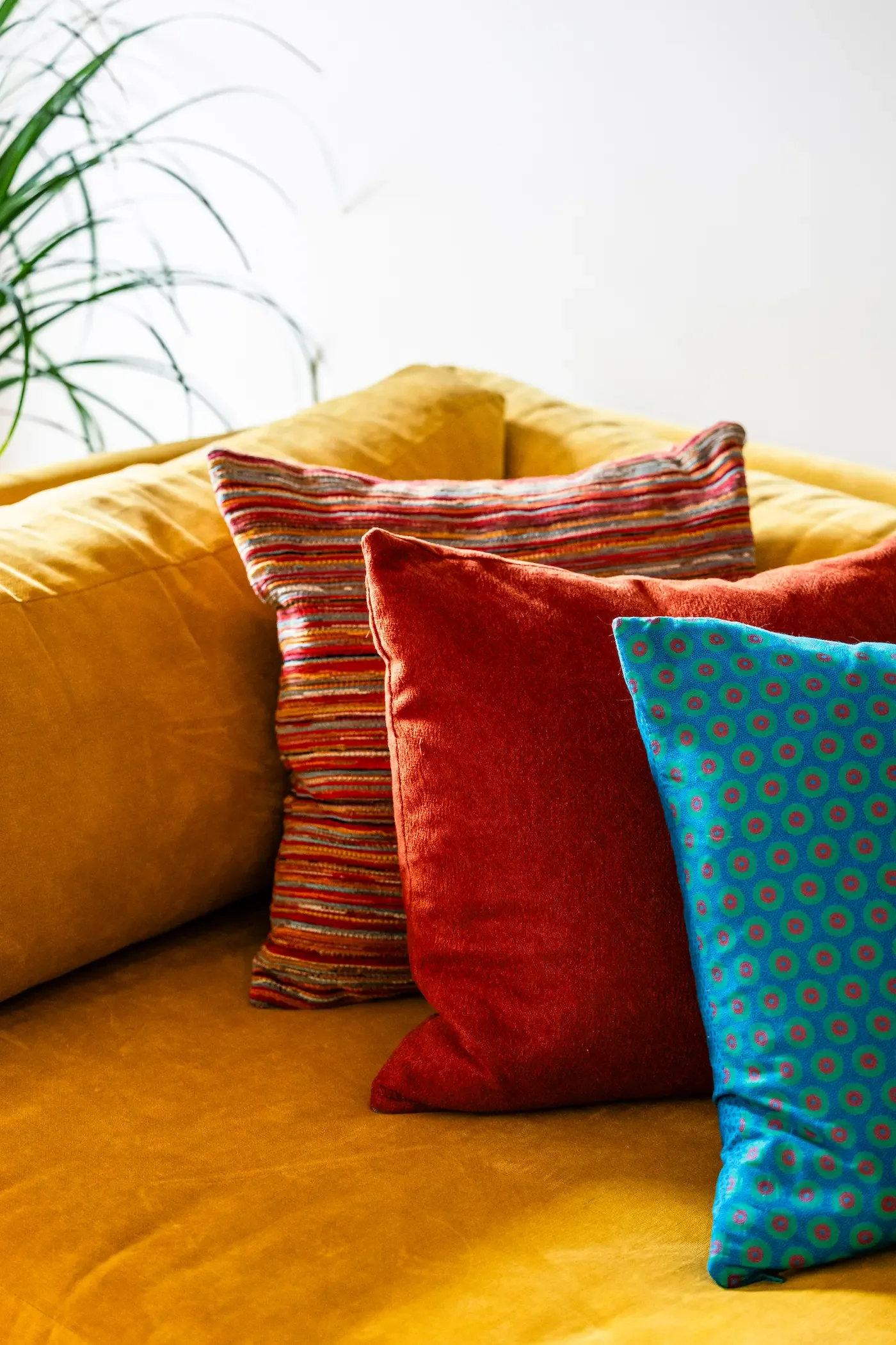 A yellow upholstered sofa with colorful decorative pillows in red, blue, and multicolored striped patterns, with a green houseplant in the background.