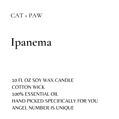 CAT + PAW.png