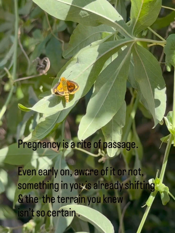 Ever cried in pregnancy &amp; didn&rsquo;t know why? 

You&rsquo;re not alone.Pregnancy is a rite of passage.

Even in the early weeks, your body and nervous system are responding to change. 

You might notice surprise emotions- quiet grief, tears yo