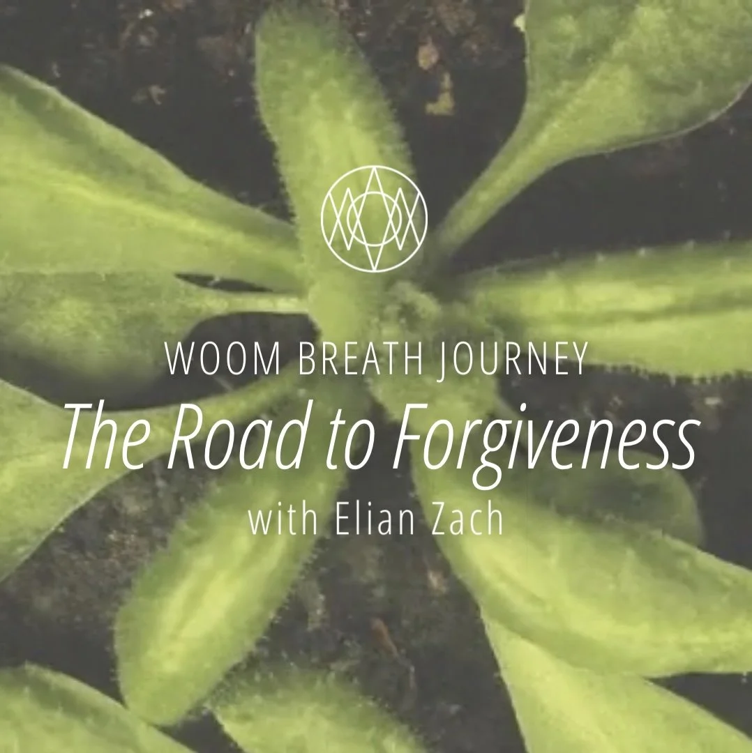WOOM Breath Journey: The Road to Forgiveness