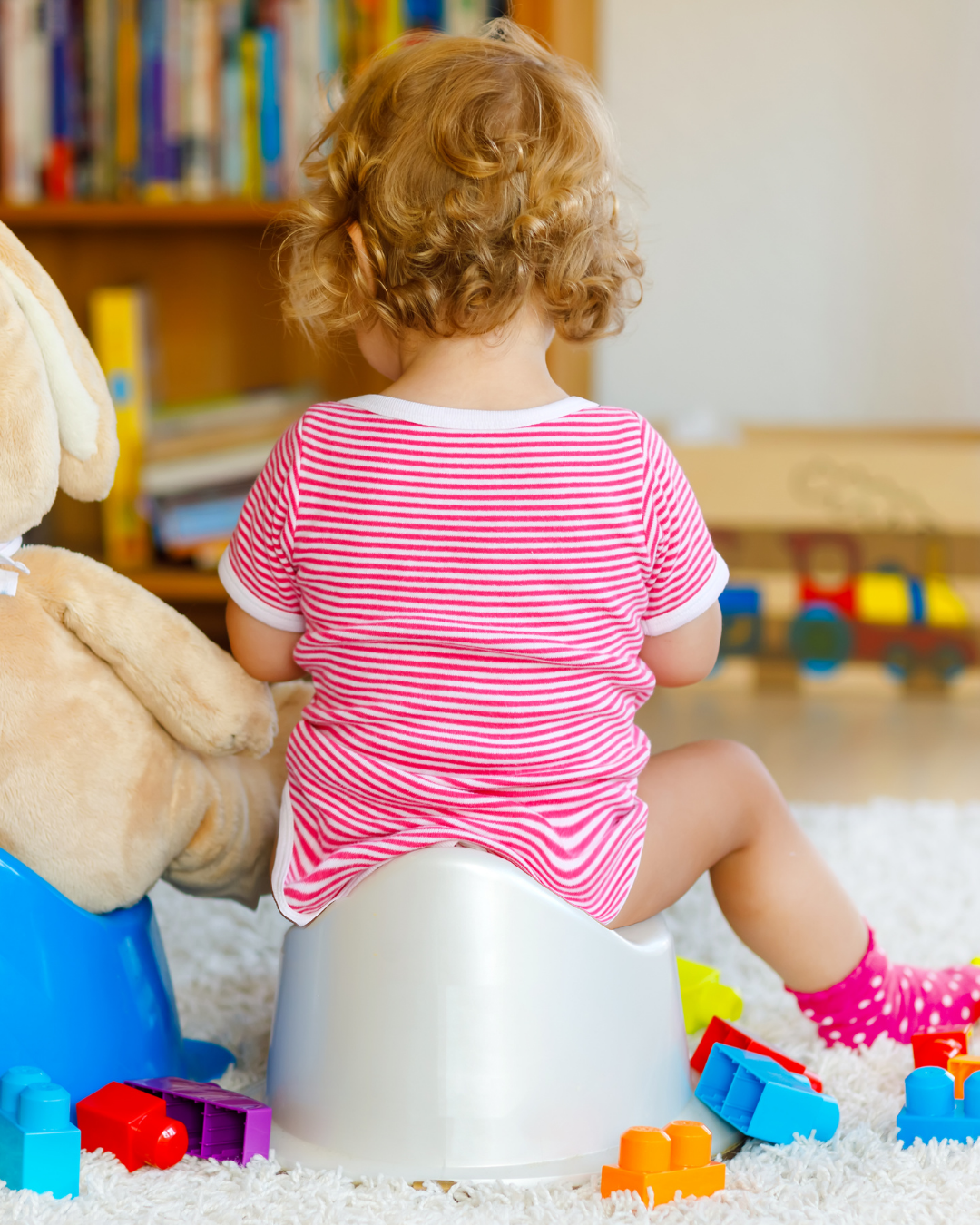 Programs | Toilet Training & Social Skills — WBHS