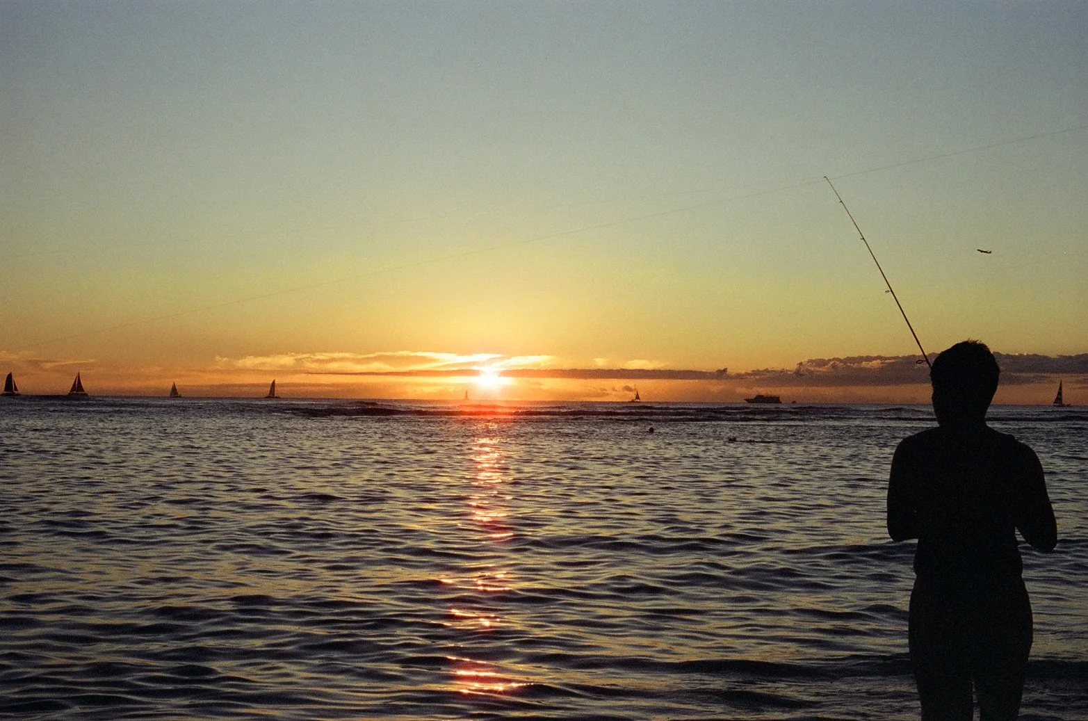 Photo by @arbos.lostfilm 