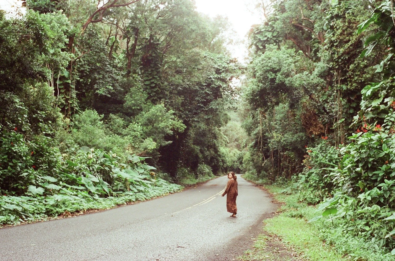 Photo by @aminamitsunami 