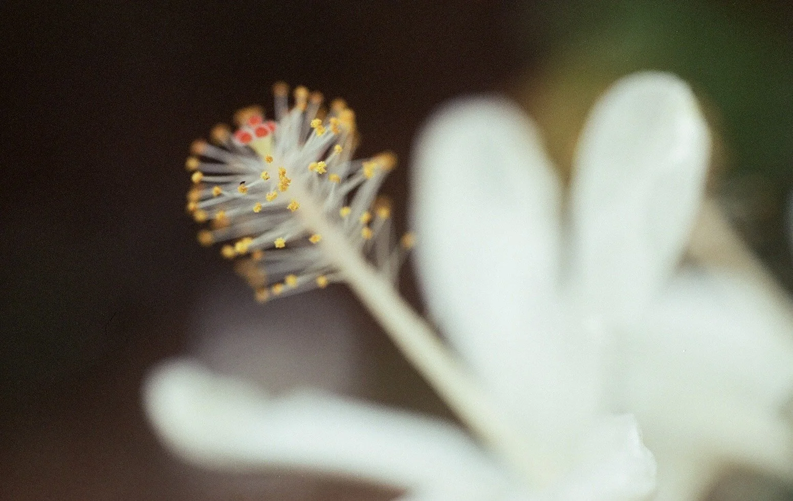 Photo by @aminamitsunami 