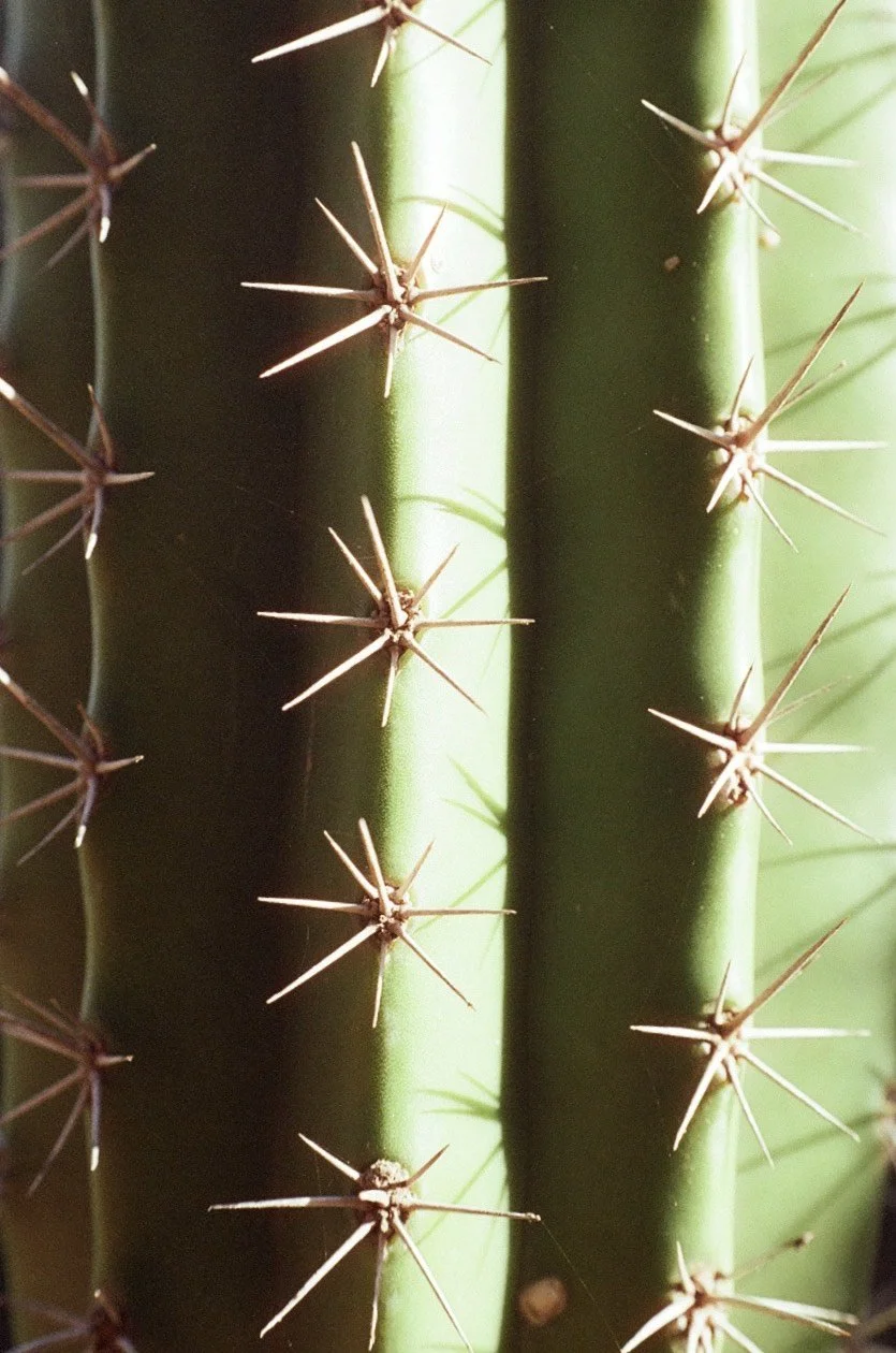 Photo by @aminamitsunami 