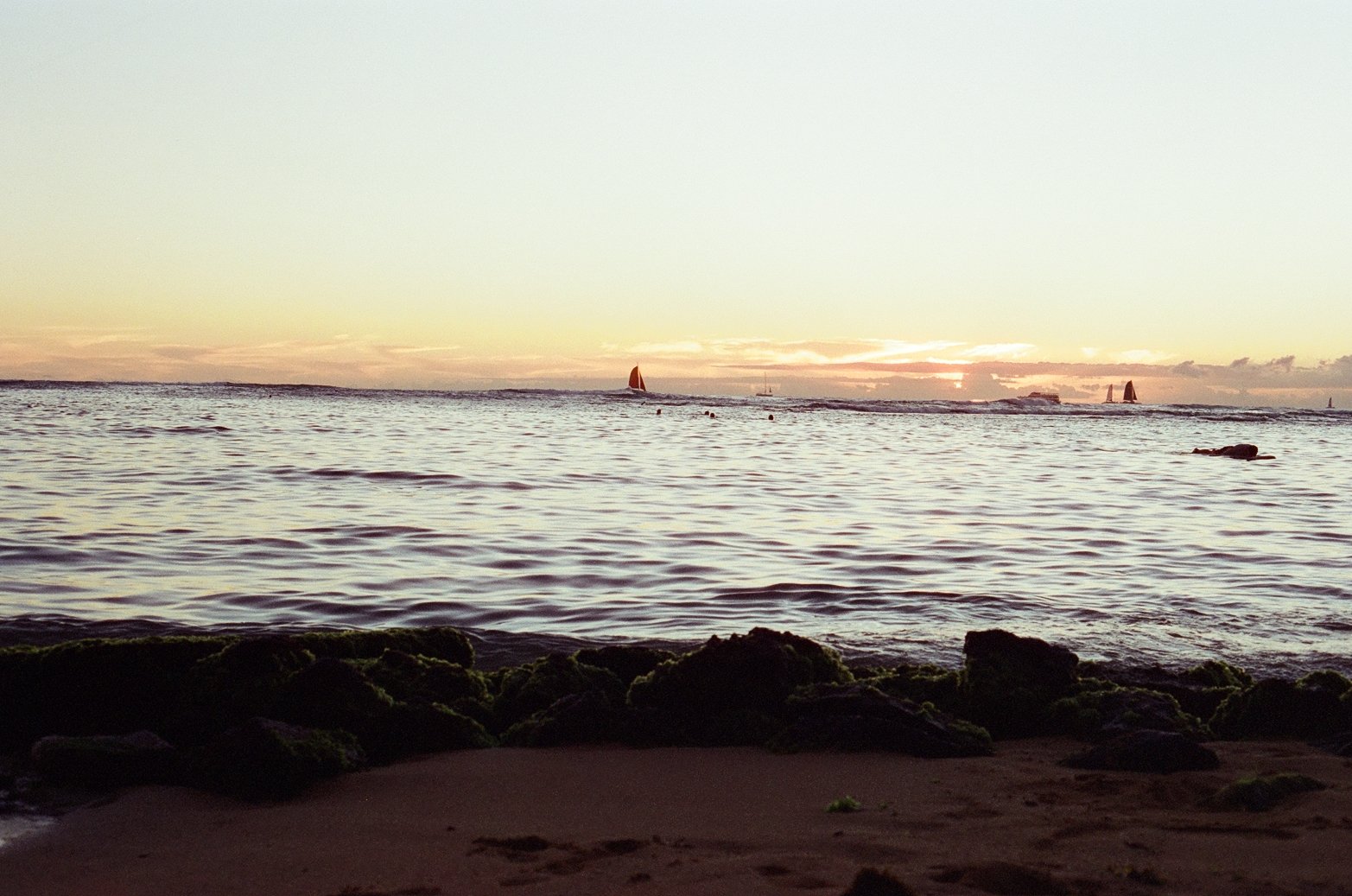 Photo by @arbos.lostfilm 