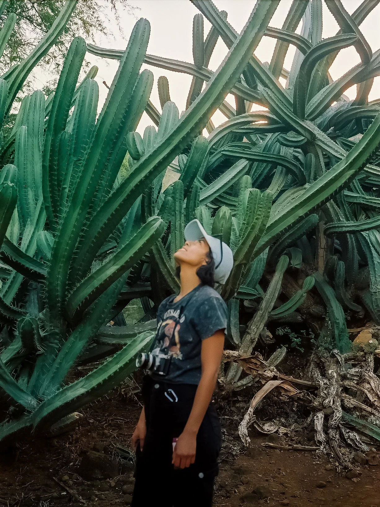 Photo by @crushproofbox