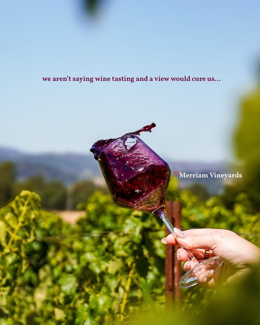 We&rsquo;ve never met a single person who was sad at a wine tasting with a view and @merriamvineyards delivers!⁠
⁠
Their farmhouse-feeling tasting room and dog-friendly terrace over look their organic vineyards right at the crossroads of Russian Rive