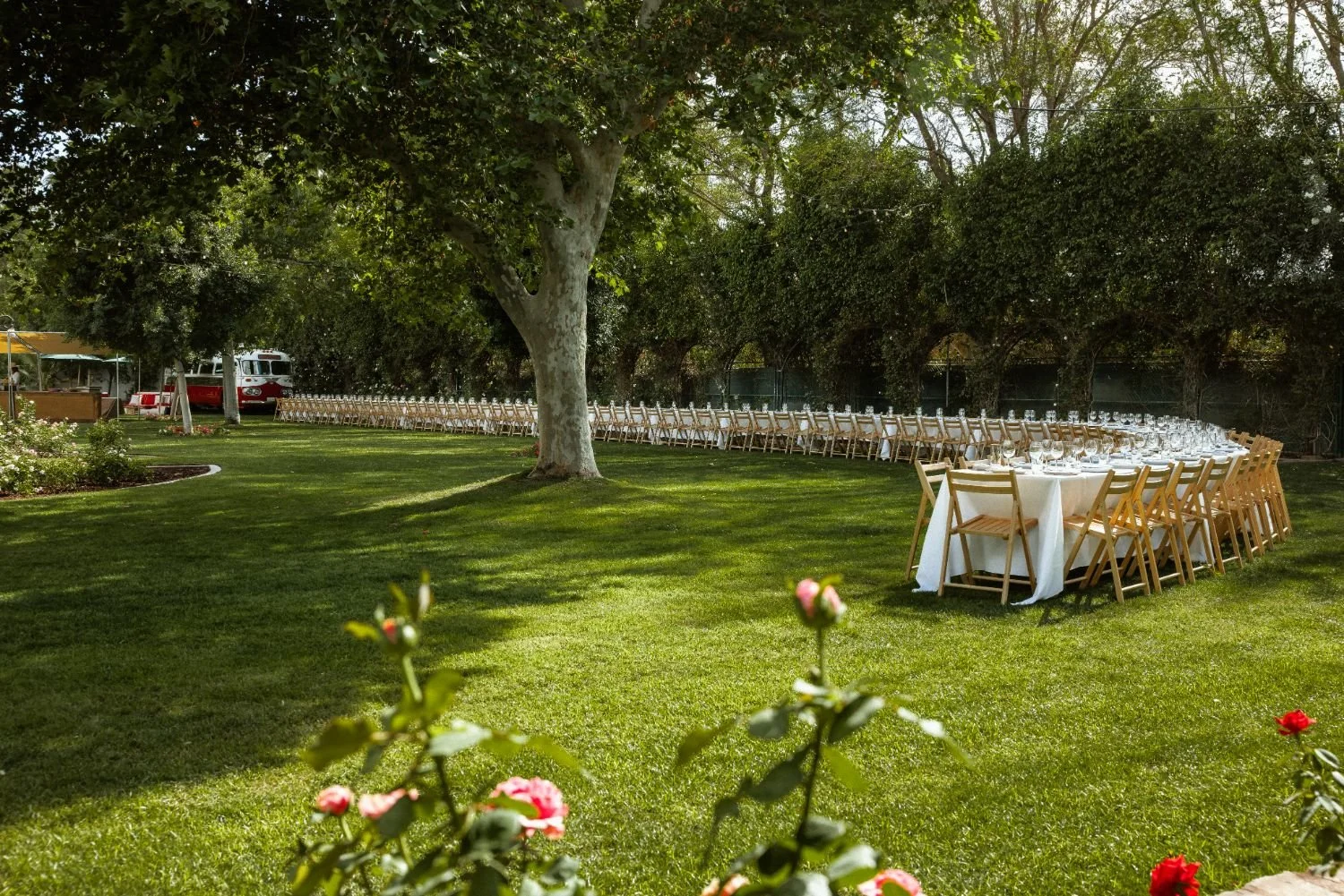 People celebrating at an outdoor dinner party with wine glasses raised in a toast, set against a vineyard backdrop at sunset.