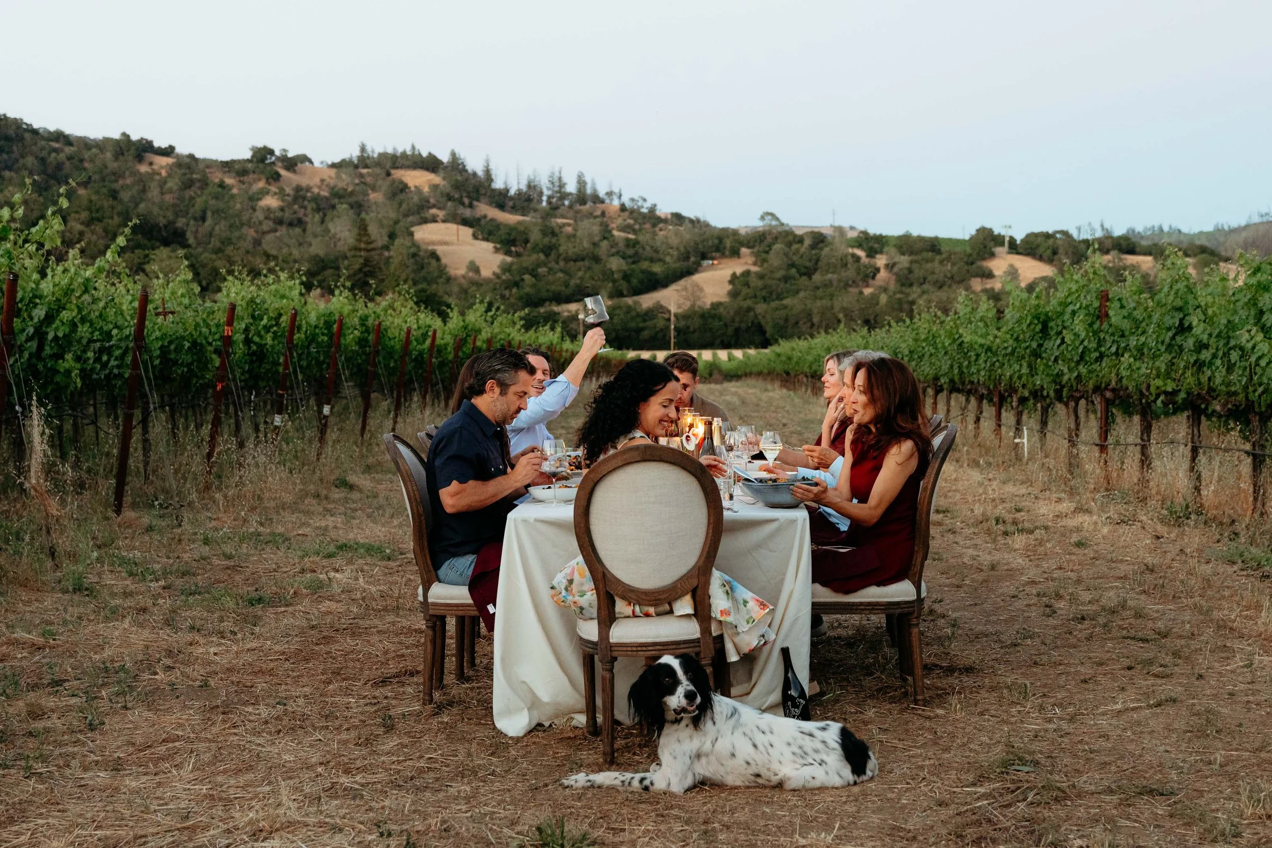 People celebrating at an outdoor dinner party with wine glasses raised in a toast, set against a vineyard backdrop at sunset.