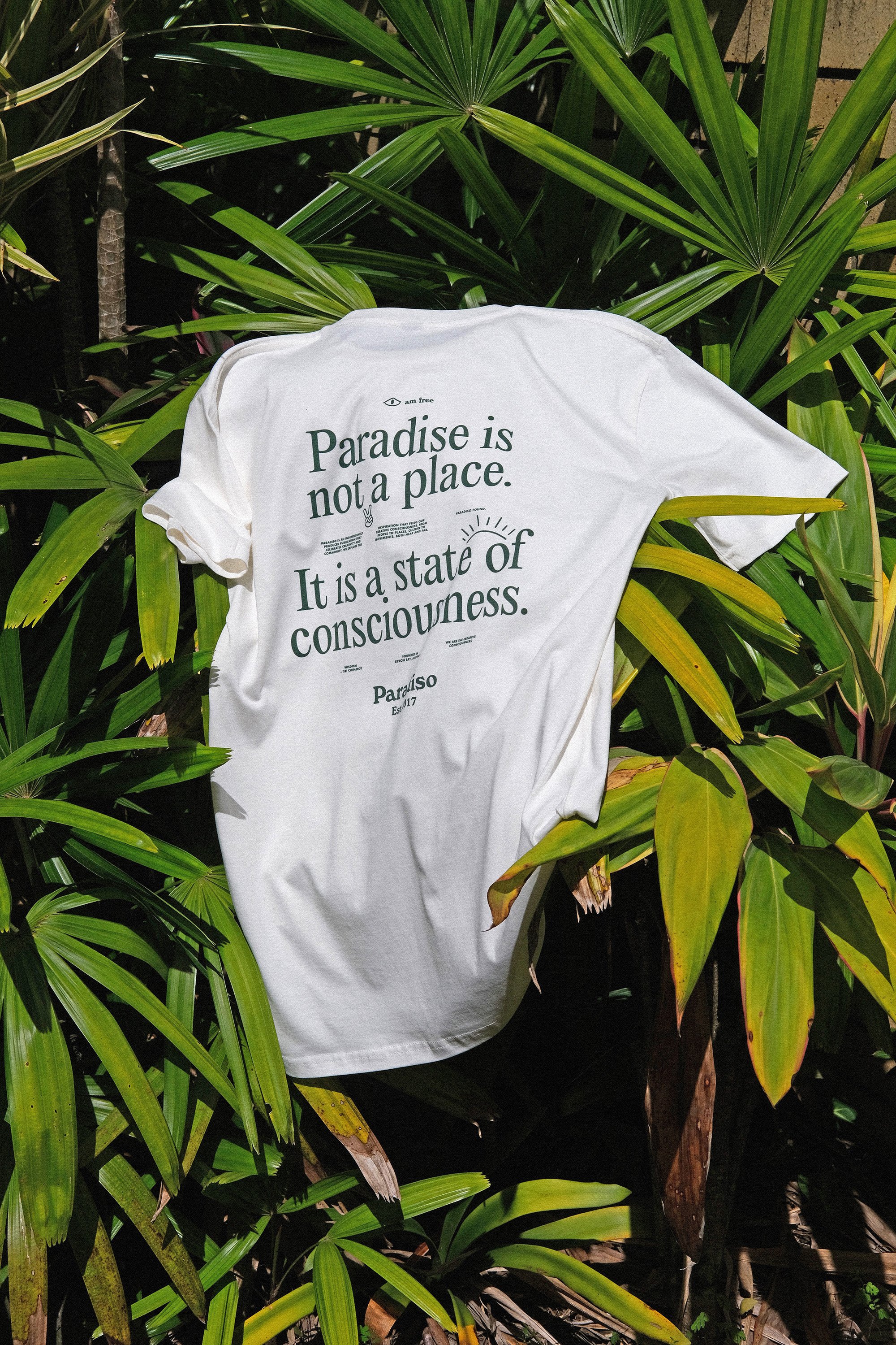 Paradiso-tee-shop-9.jpg