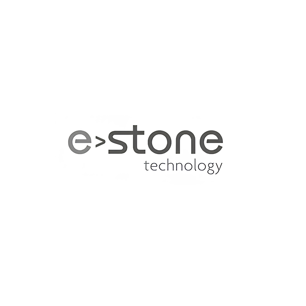 E-stone Technology
