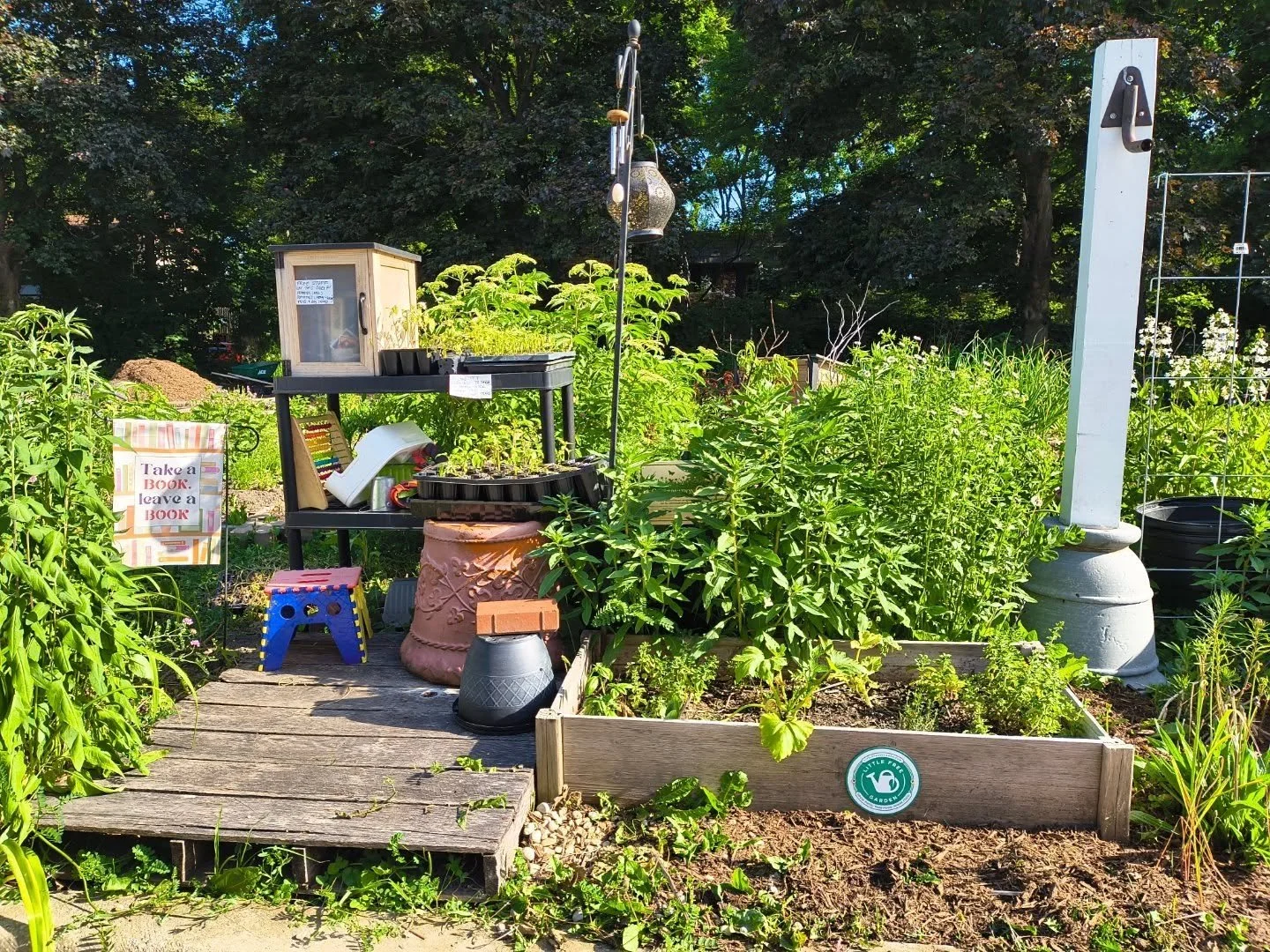 Front yarden makeover y'all!!! Still tweaking and moving plants around slowly as my leg heals up more ...but so far I'm really happy with the layout. 

#humehomegardens #naperville #freelittlelibrary #napervillegarden #freelittlegarden