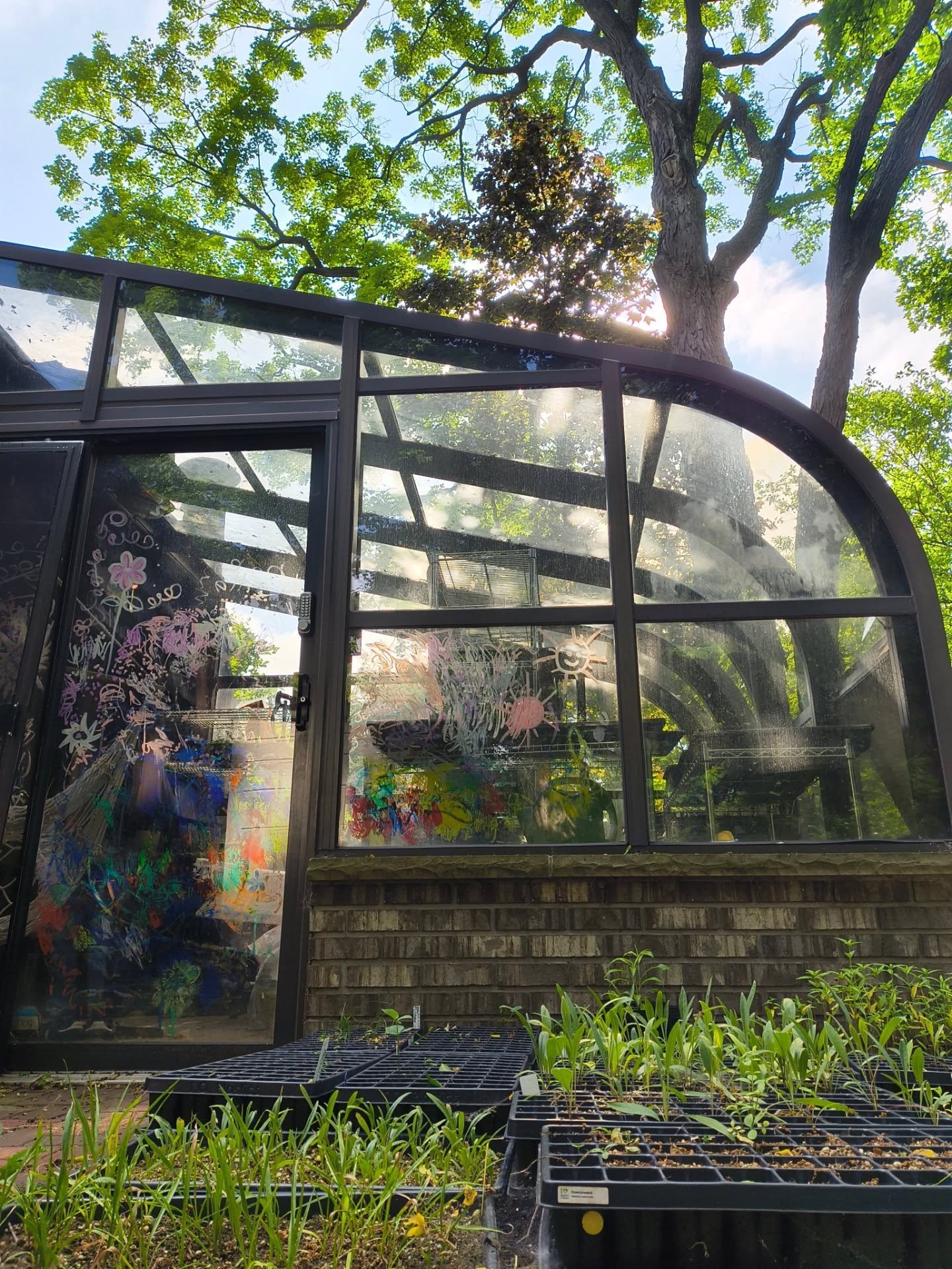 You can find me potting up natives in my happy place today 🪏 🧑&zwj;🌾🥰 will be available for local pick up and delivery soon, so keep an eye out for updates and a link to the ship listings!

#humehomegardens #naperville #napervillegarden #napervil