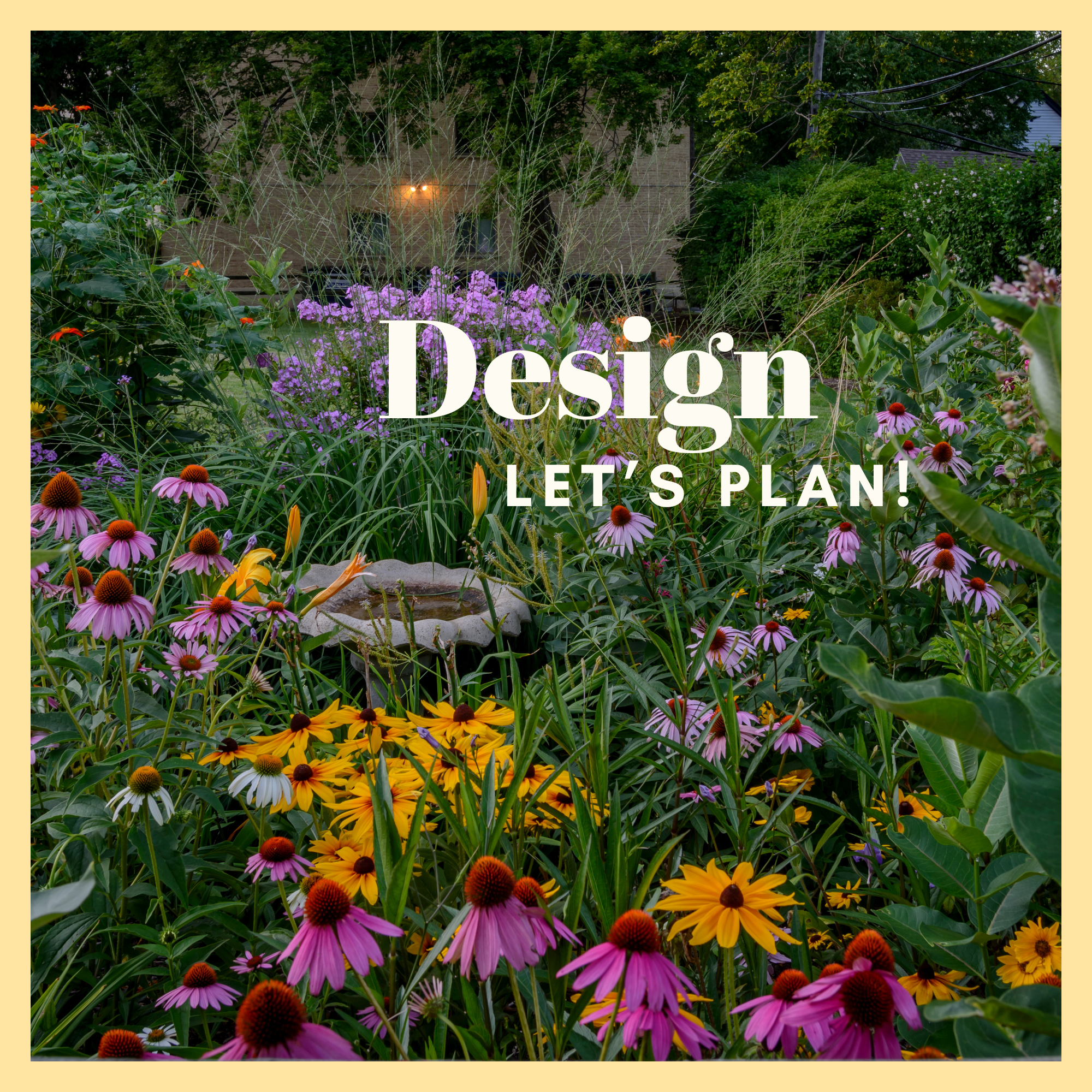 Garden Consultation & Design