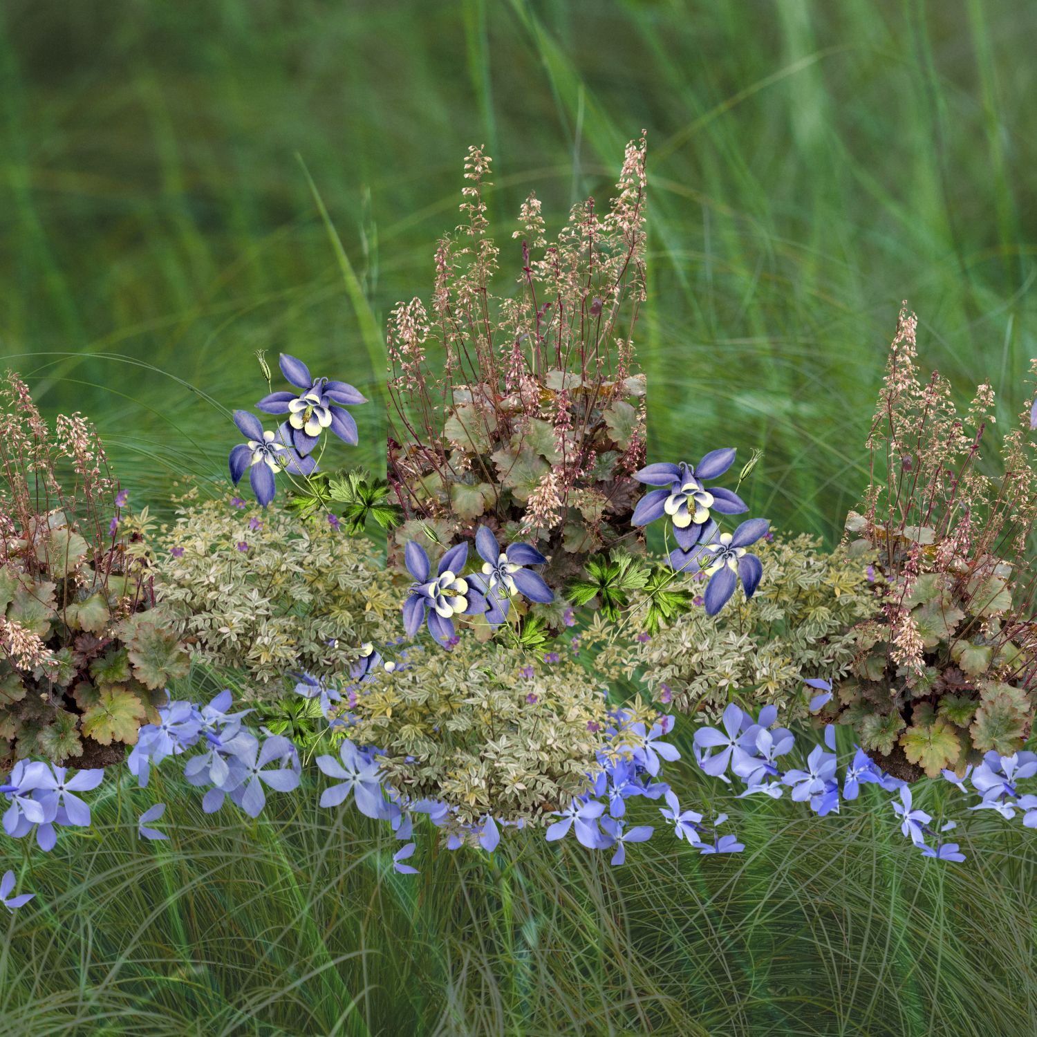 Understory Native Plant Kit