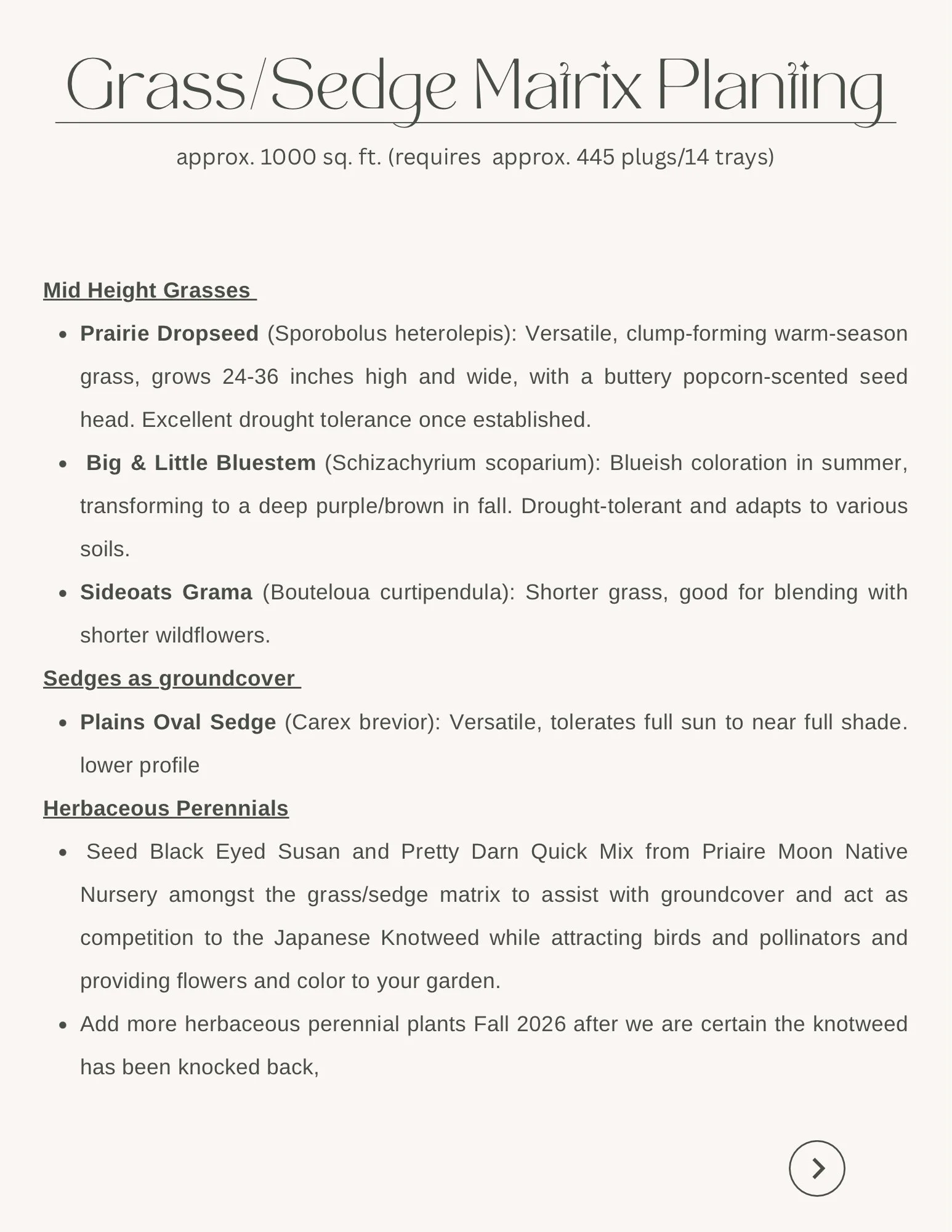 Garden Consultation - 8.jpeg