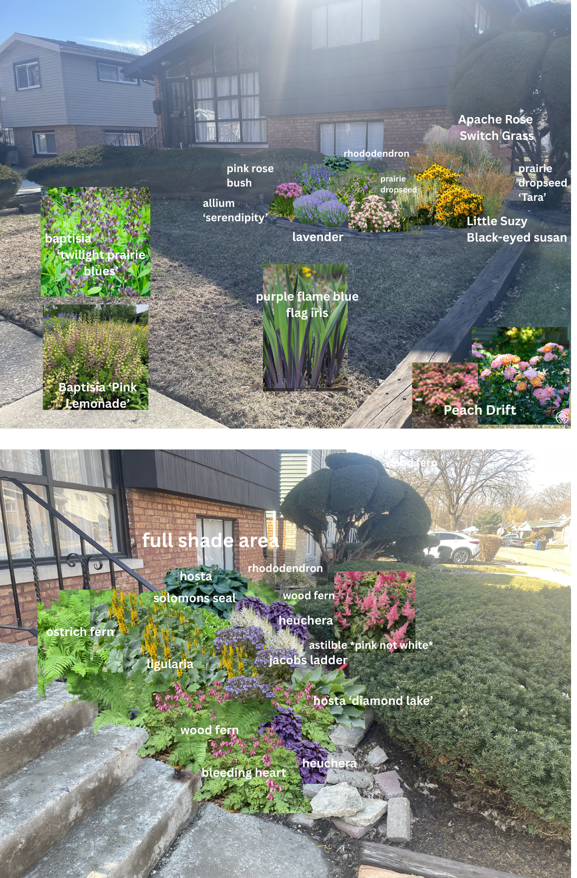 ConsultationDesign Template (16).png