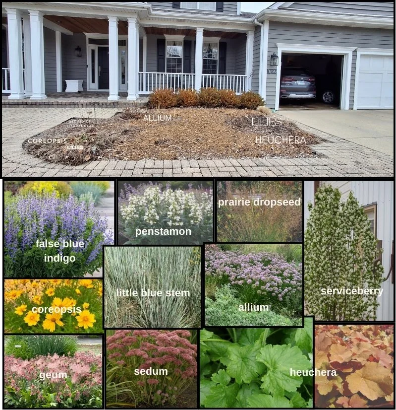 Garden Consultation.jpg