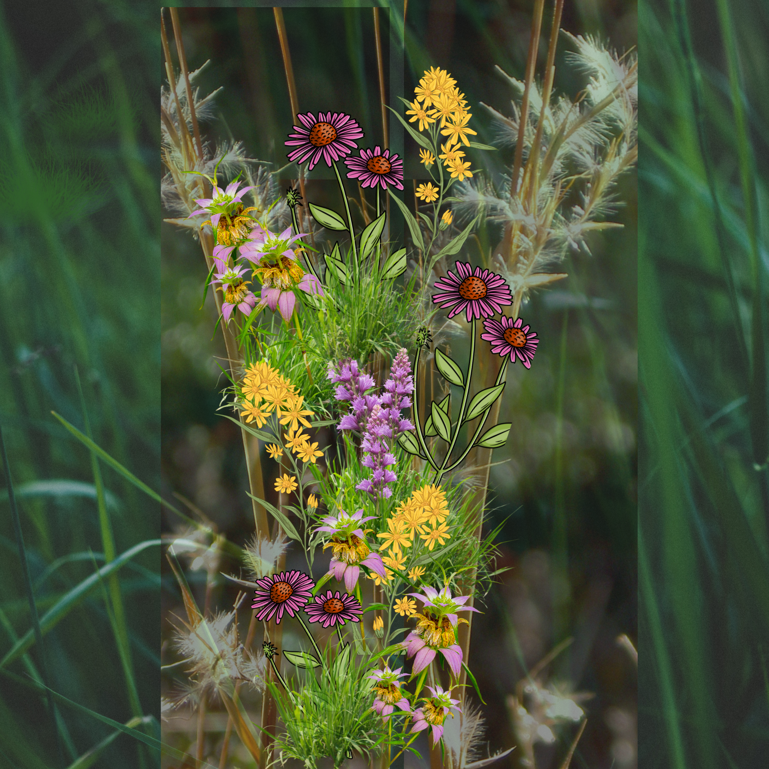 Hellstrip Native Plant Kit