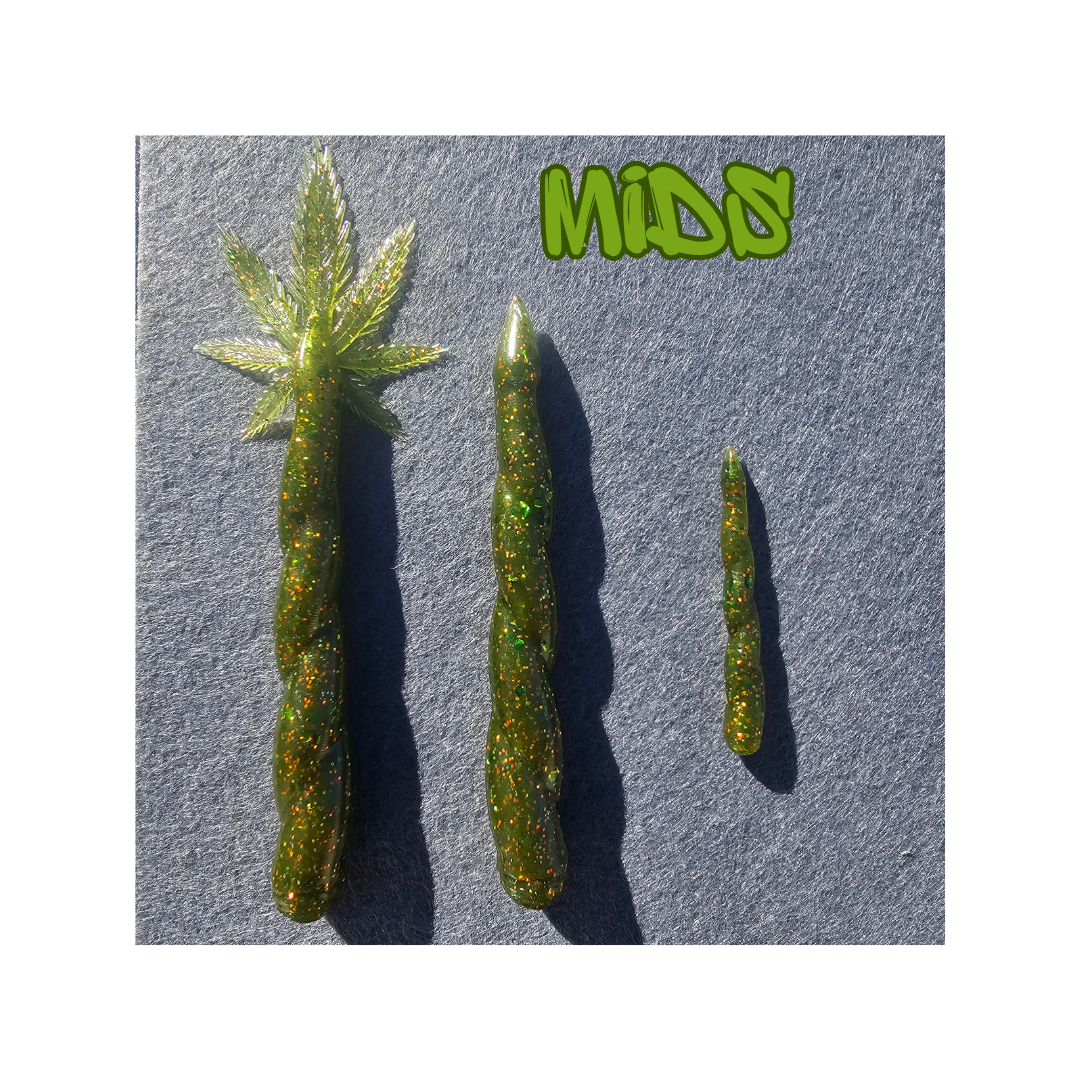 MIDS CANVA.png