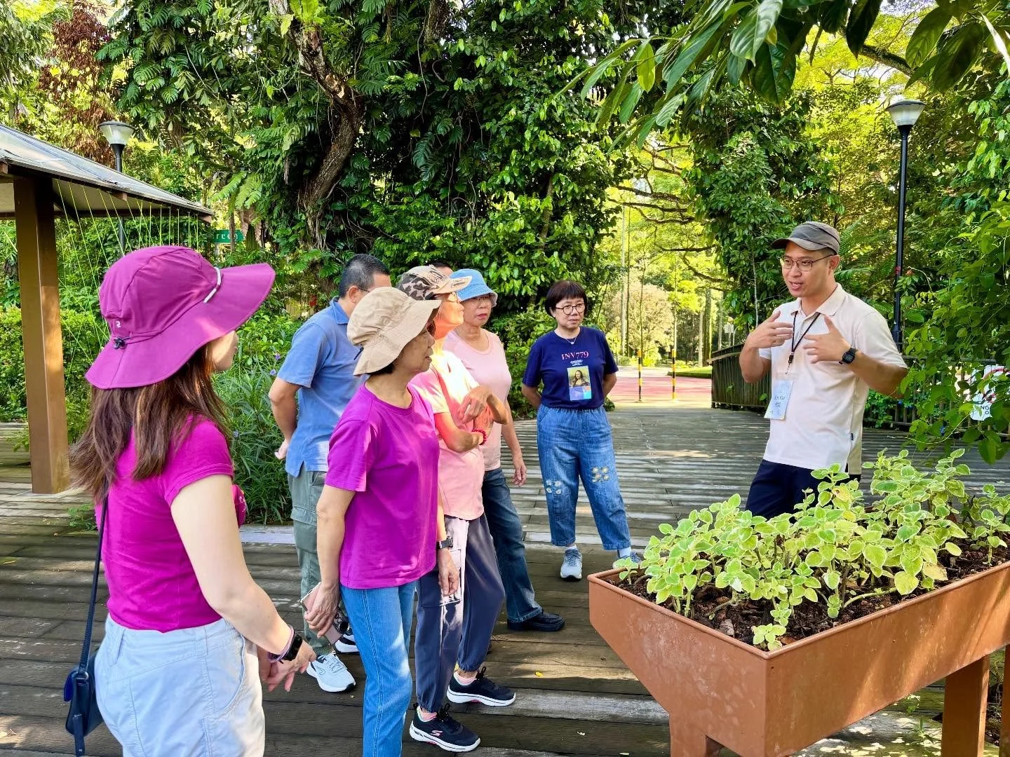 Great session today at Telok Blangah Hill Park for the last Saturday of November!

Our public run of therapeutic horticulture brought participants together on a sensory and scenic walk through the Therapeutic Garden, taking in the colours, fragrances