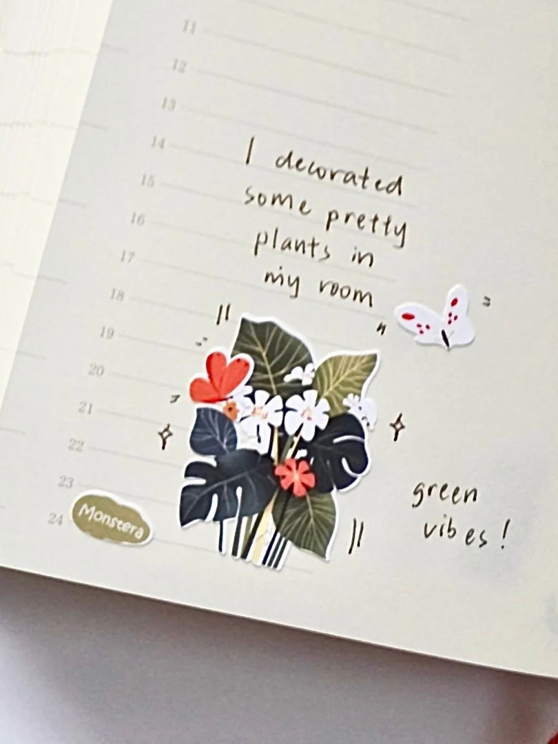 DSC00837.png