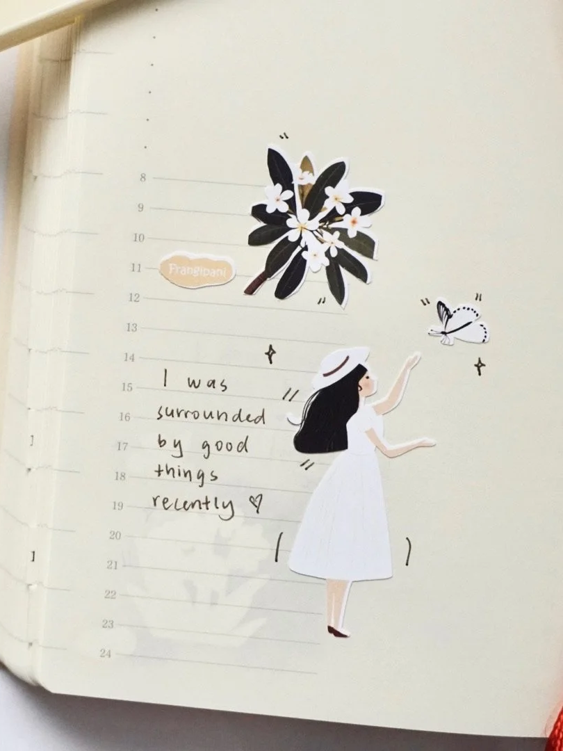 DSC00839.png