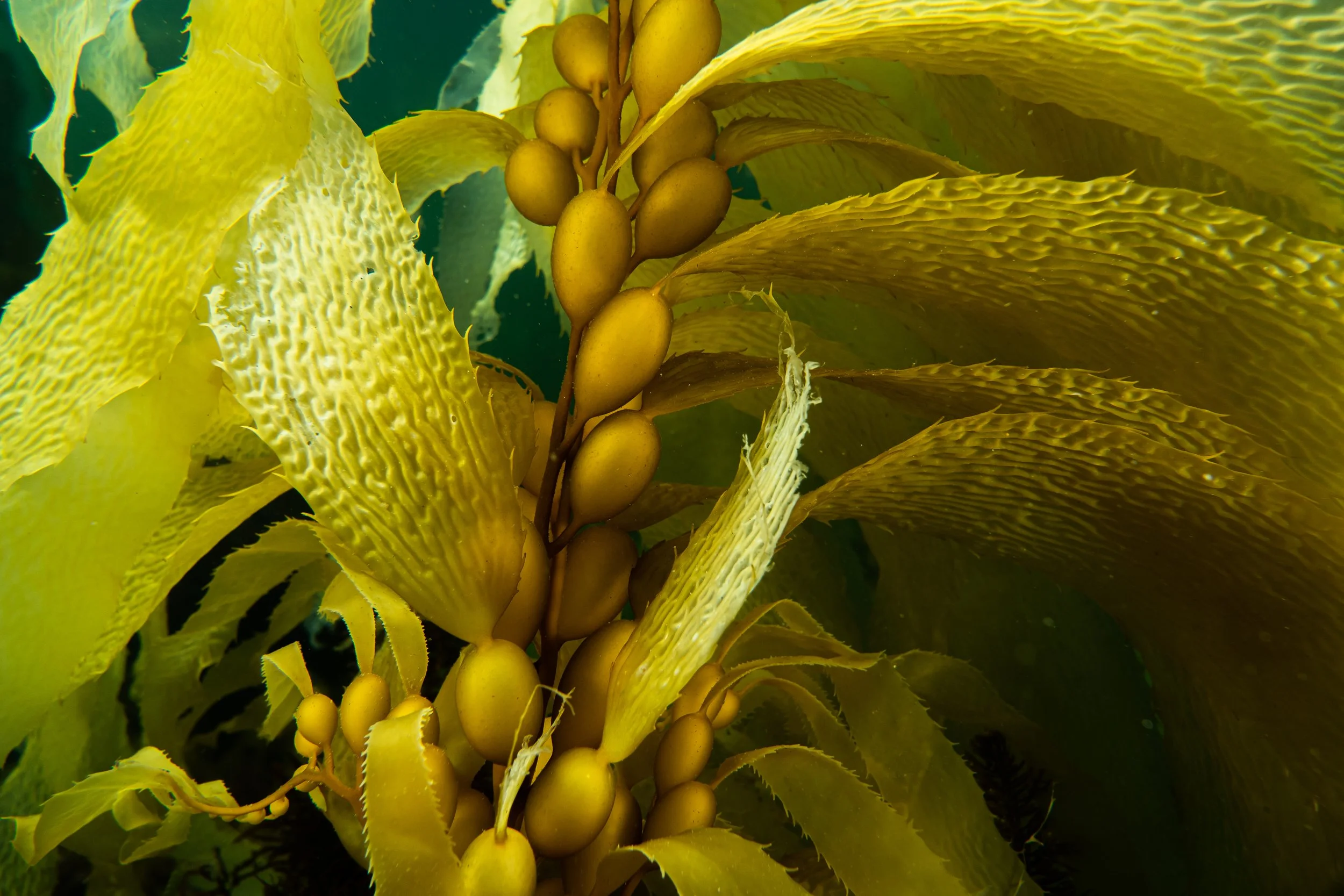 Sloping Island_1.jpg