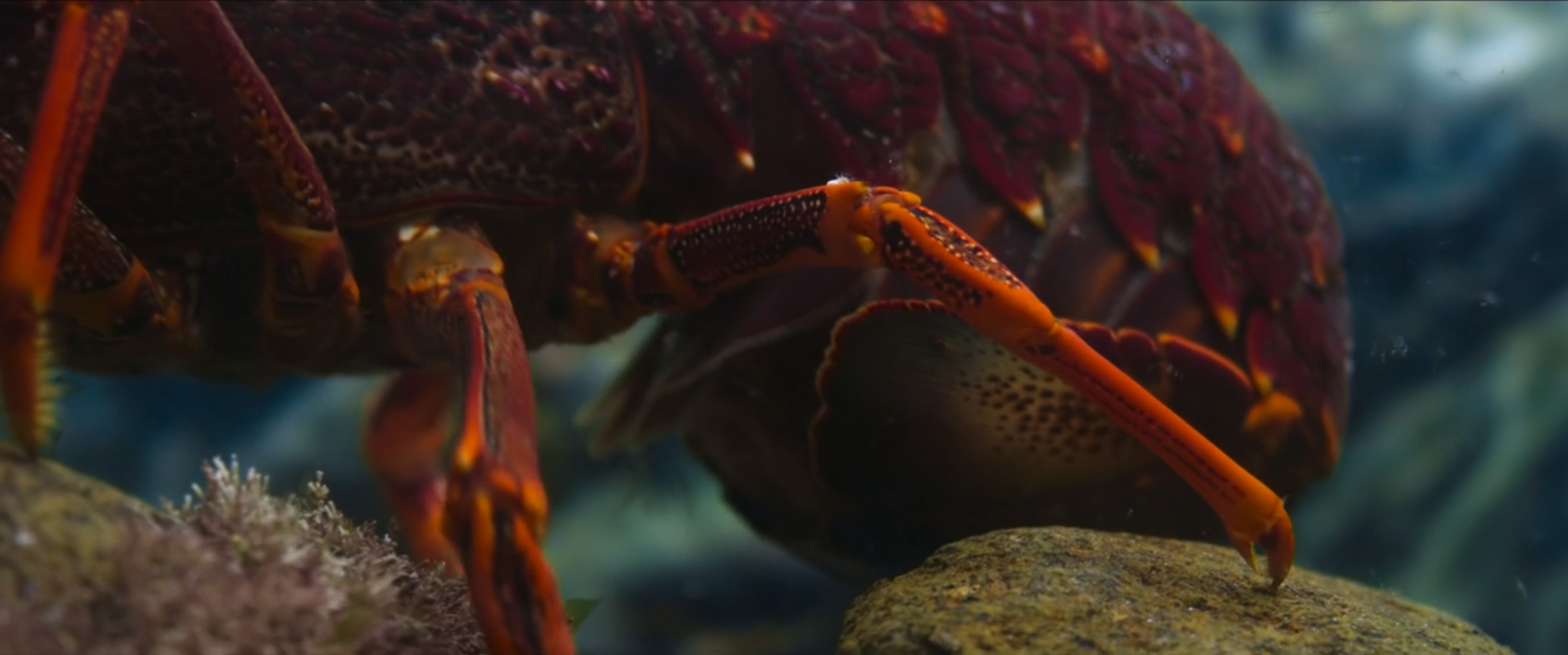 Screenshot 2025-06-25 at 11.22.50 AM.png