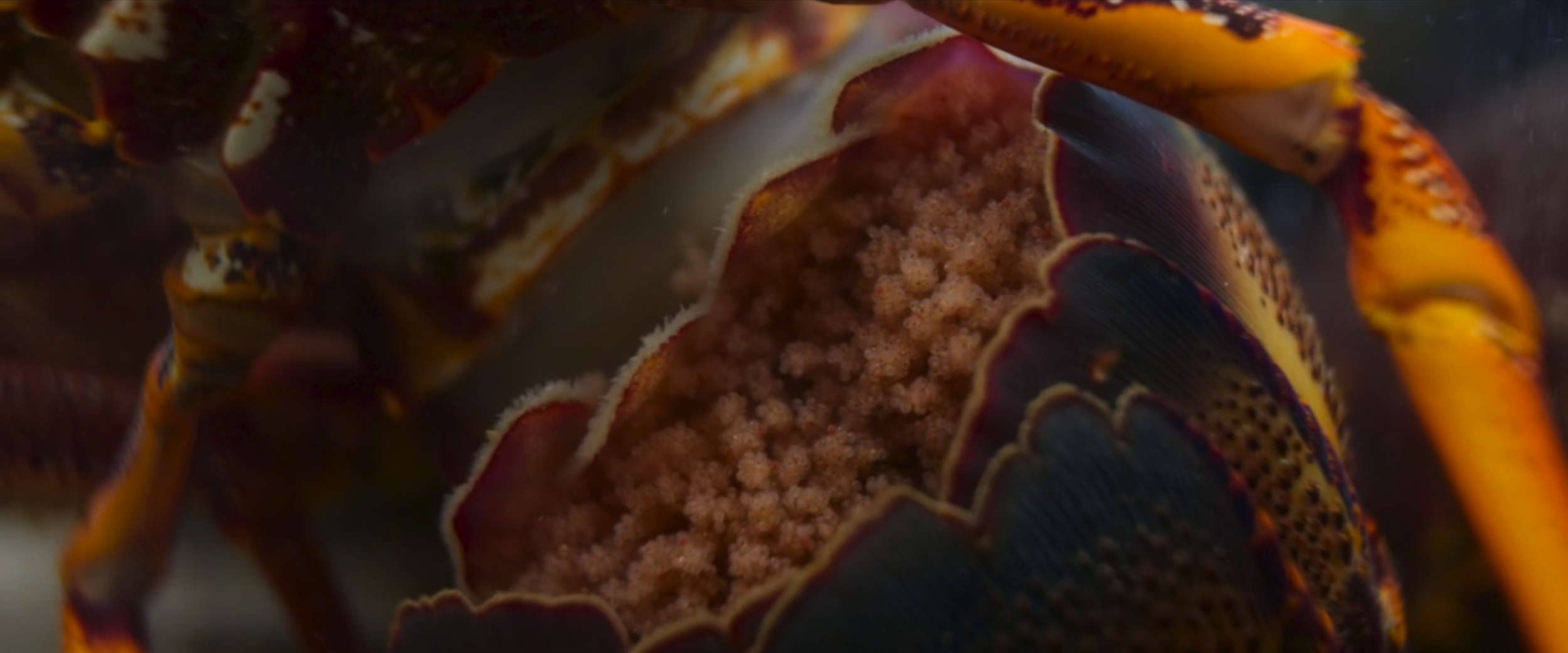 Screenshot 2025-06-25 at 11.23.09 AM.png