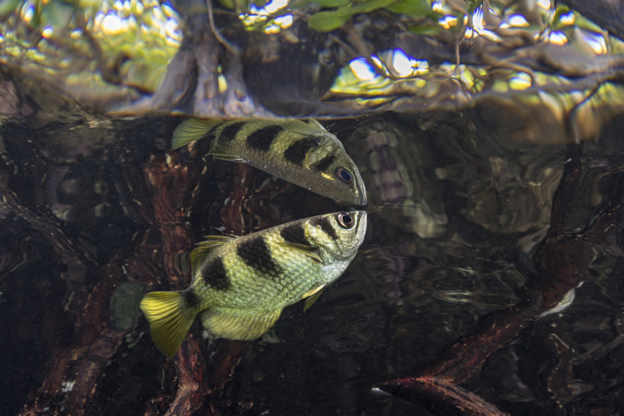 DayCanon Day 1_4.jpeg