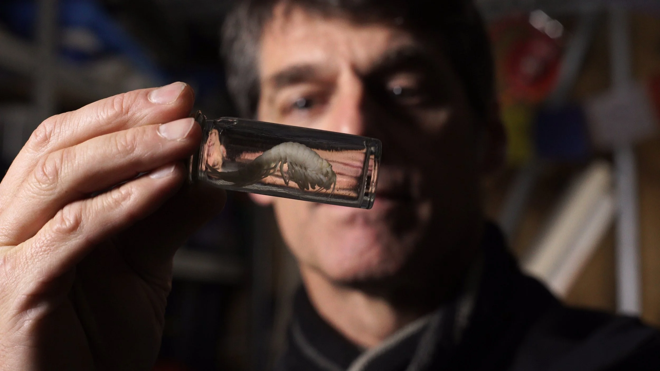 stefan and anaspides.JPG