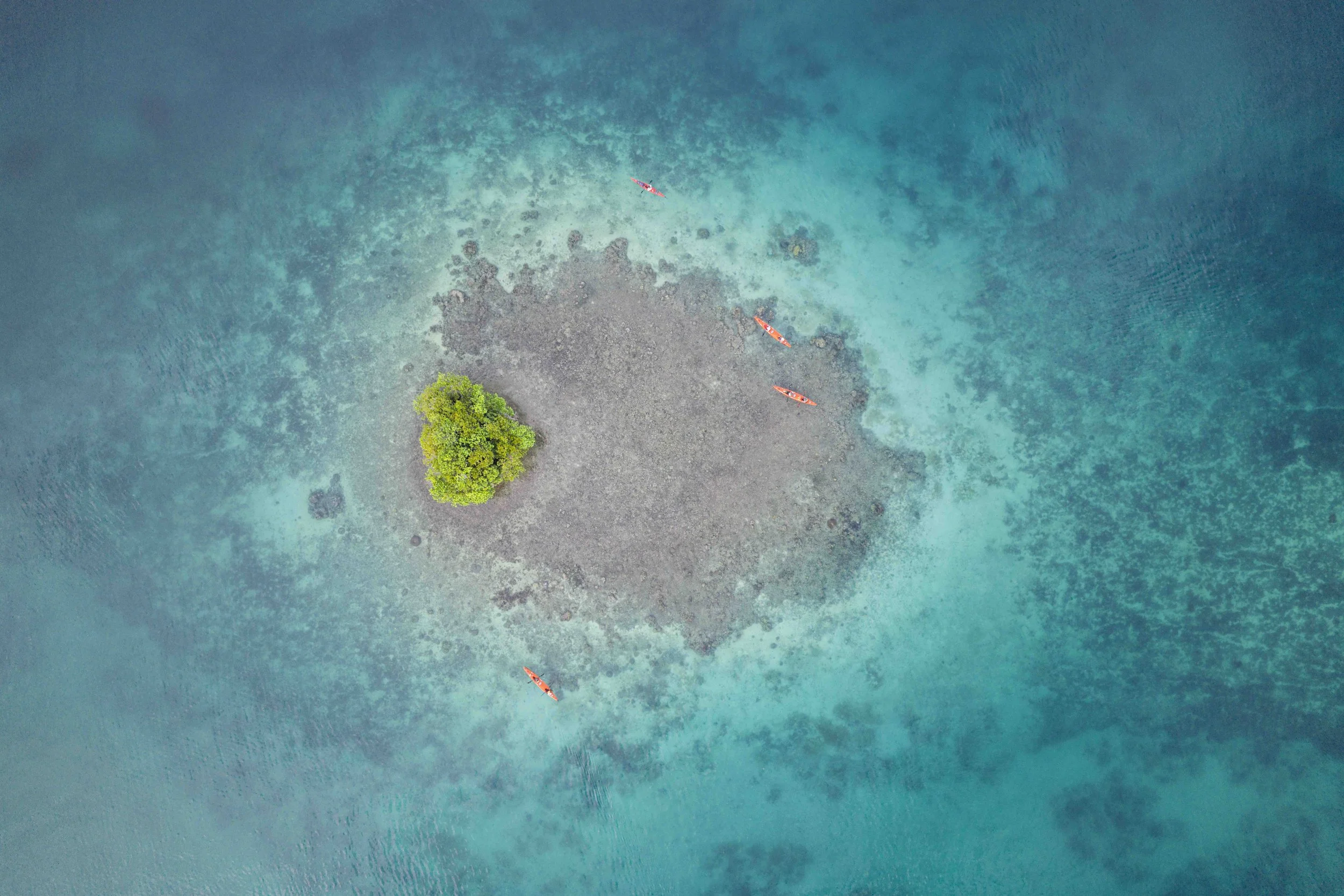 DJI Web154.jpg