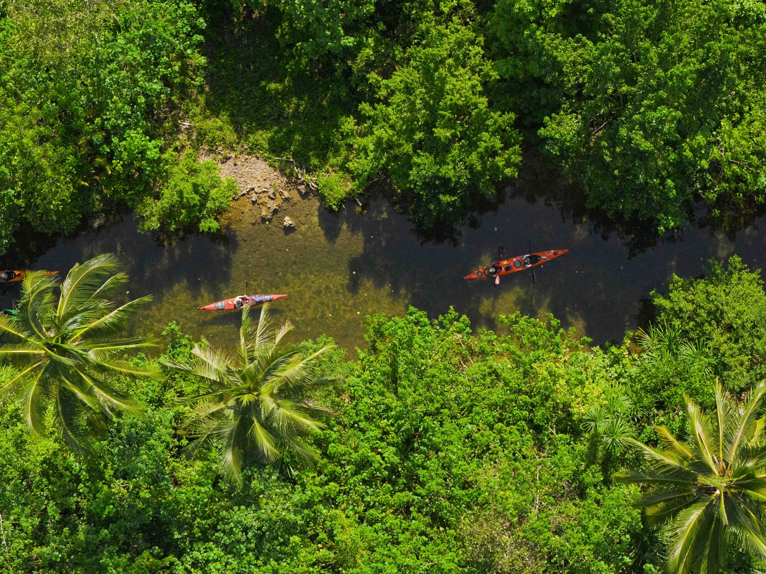 DJI Web162.jpg